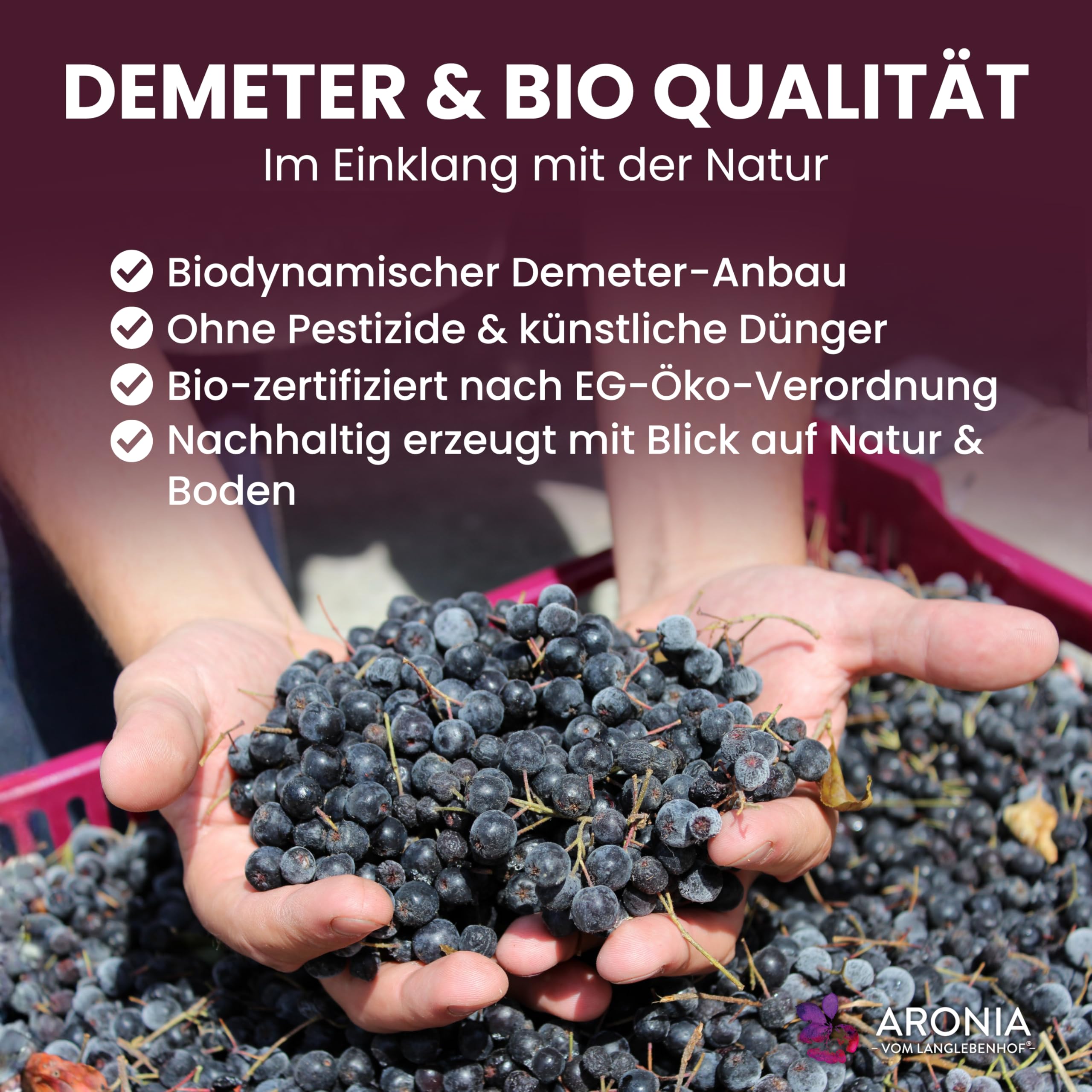 anglebenhof Aronia Direktsaft, Muttersaft, [100% Demeter und Bio] 3 Liter Box, Der Milde" Aroniasaft für Ernährungsbewusste, Aroniasaft aus Deutschland, Aronia Beeren Saft-sehr lange haltbar (3 x 3 L)