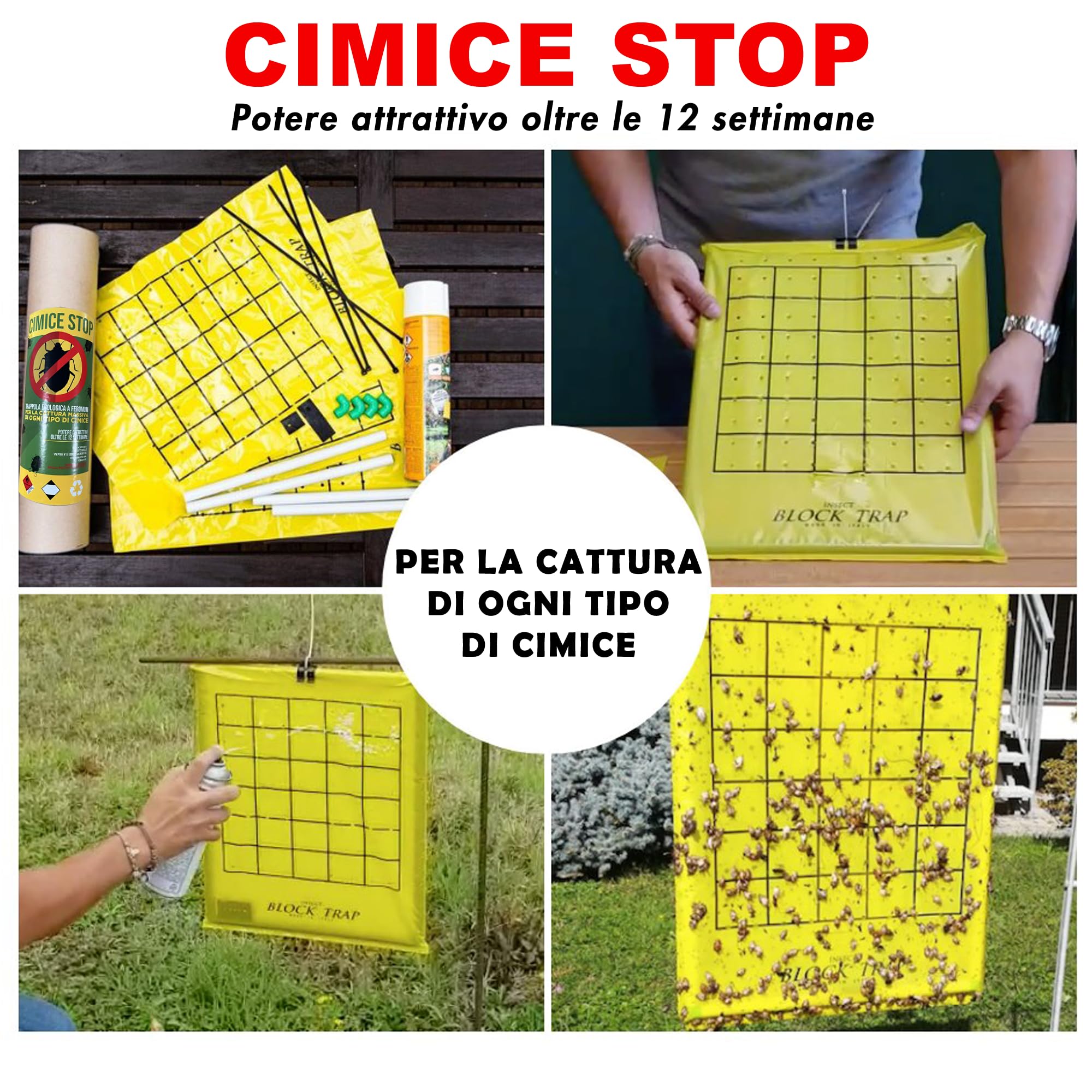 Cimice Stop Block Trap - Trappola ecologica per la cattura di massa della Cimice Asiatica, Verde e Marmorata (Halyomorpha Halys) Più di 12 settimane di funzionamento (Kit Completo)