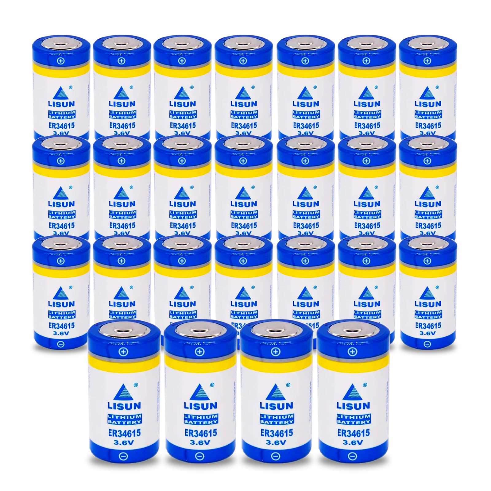 HDSBFCWYGG <- 25 Pack -> ER34615 3.6v 19000mah Size D Battery for LISUN Multipurpose PLC Programmer