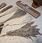 Review Image by L. Kozak L. Kozak