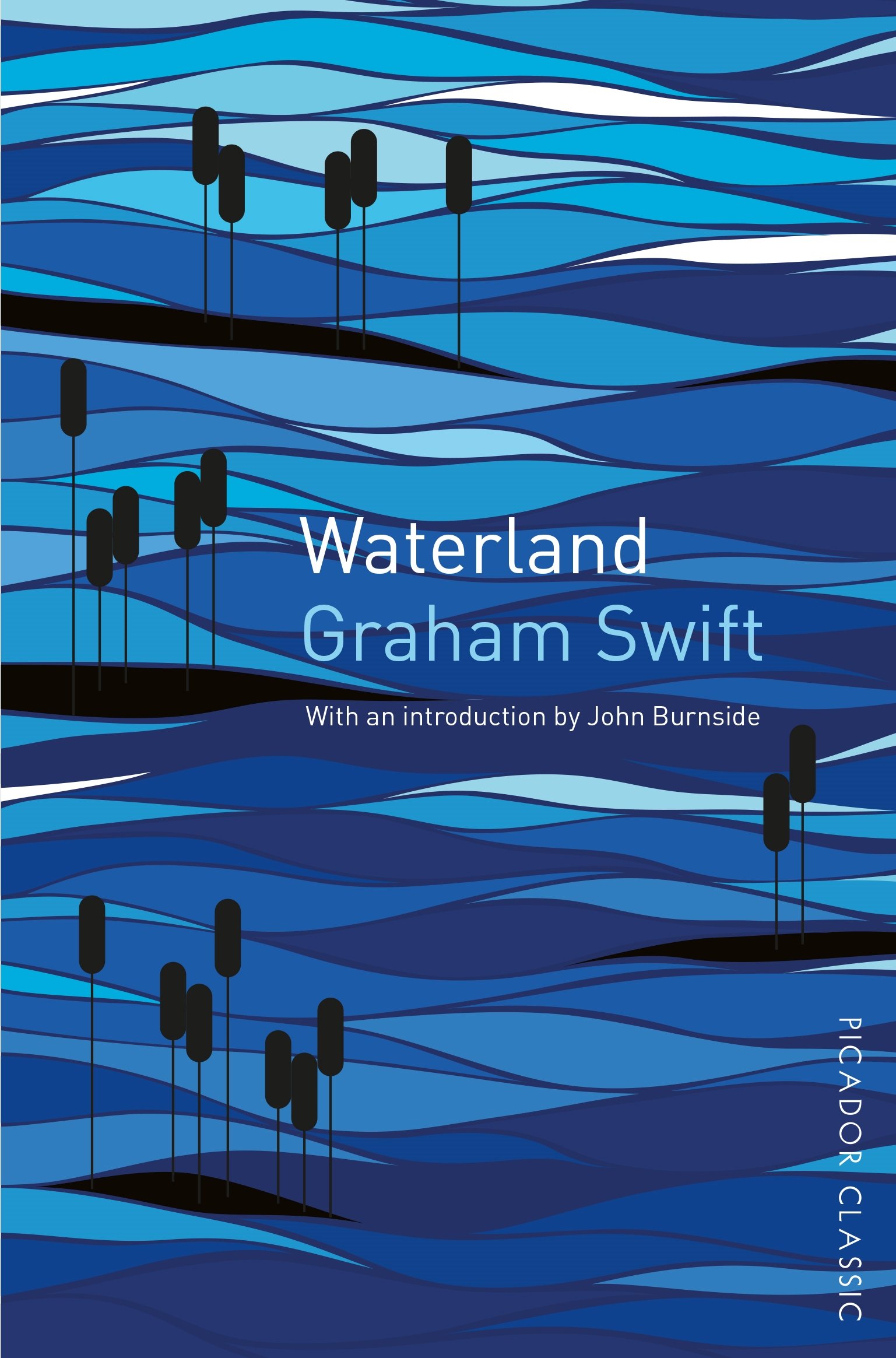 Buy Waterland: Picador Classic — BookShops.in