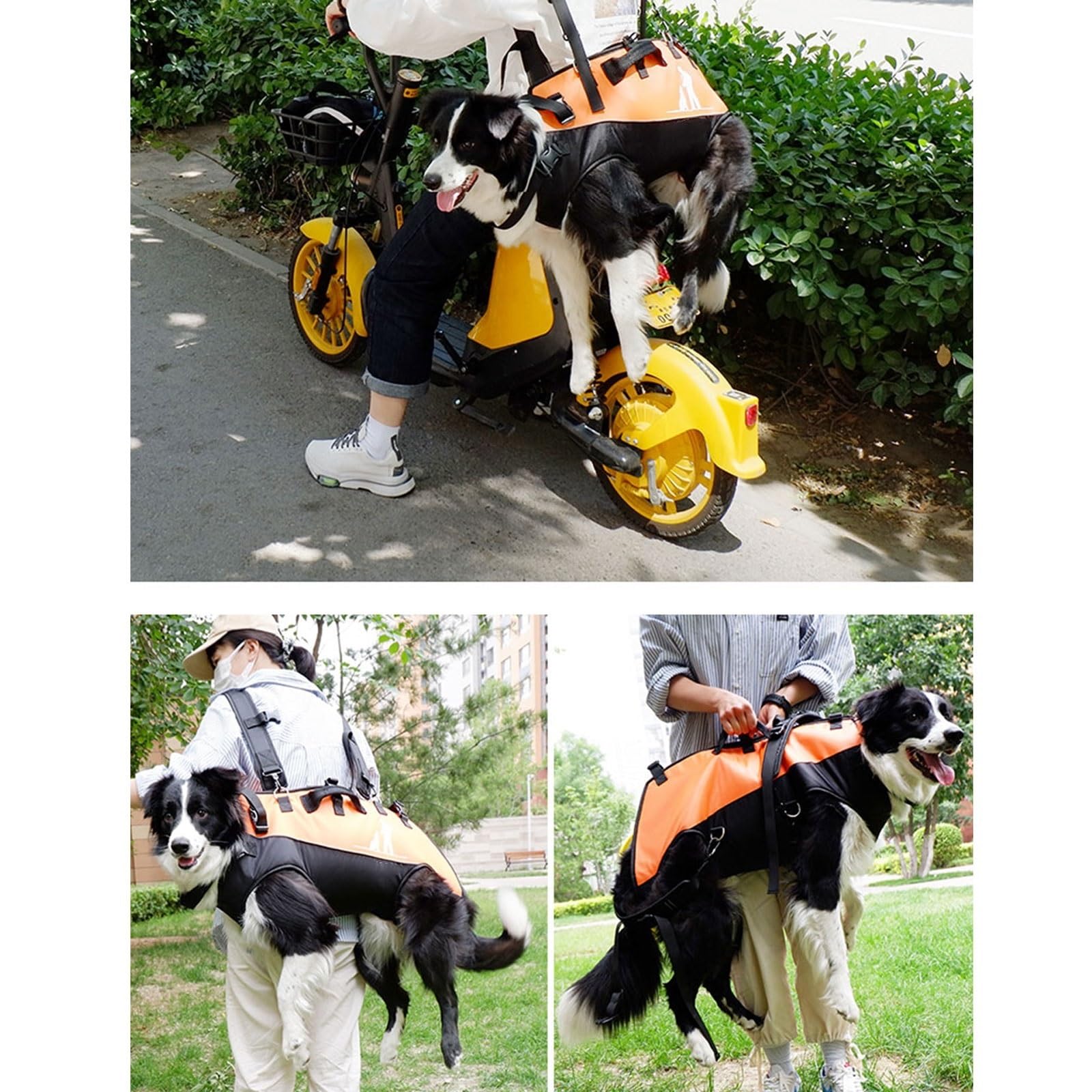 Mochila transportadora para perros grandes, diseño frontal ajustable para mascotas de 15 a 40 kg, ideal para personas mayores, perros con problemas articulares o artritis