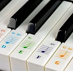 QMG Adesivos de teclado de piano para 88/76/61/54/49/37 teclas grandes adesivos de piano para aprendizagem, letras removíveis de teclado de piano, etiqueta de notas para iniciantes e crianças, feito