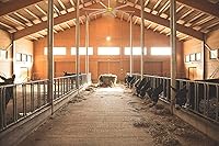 Vista 8 de Big Ass Fans E Series 10 ft Industrial 6 Blade Ceiling Fan Gearless Direct Drive Motor, High Volume Low Speed, Wired Wall Controller, 110-125V/1ph