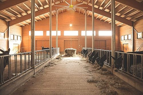 Miniatura 8 de Big Ass Fans E Series 10 ft Industrial 6 Blade Ceiling Fan Gearless Direct Drive Motor, High Volume Low Speed, Wired Wall Controller, 110-125V/1ph -