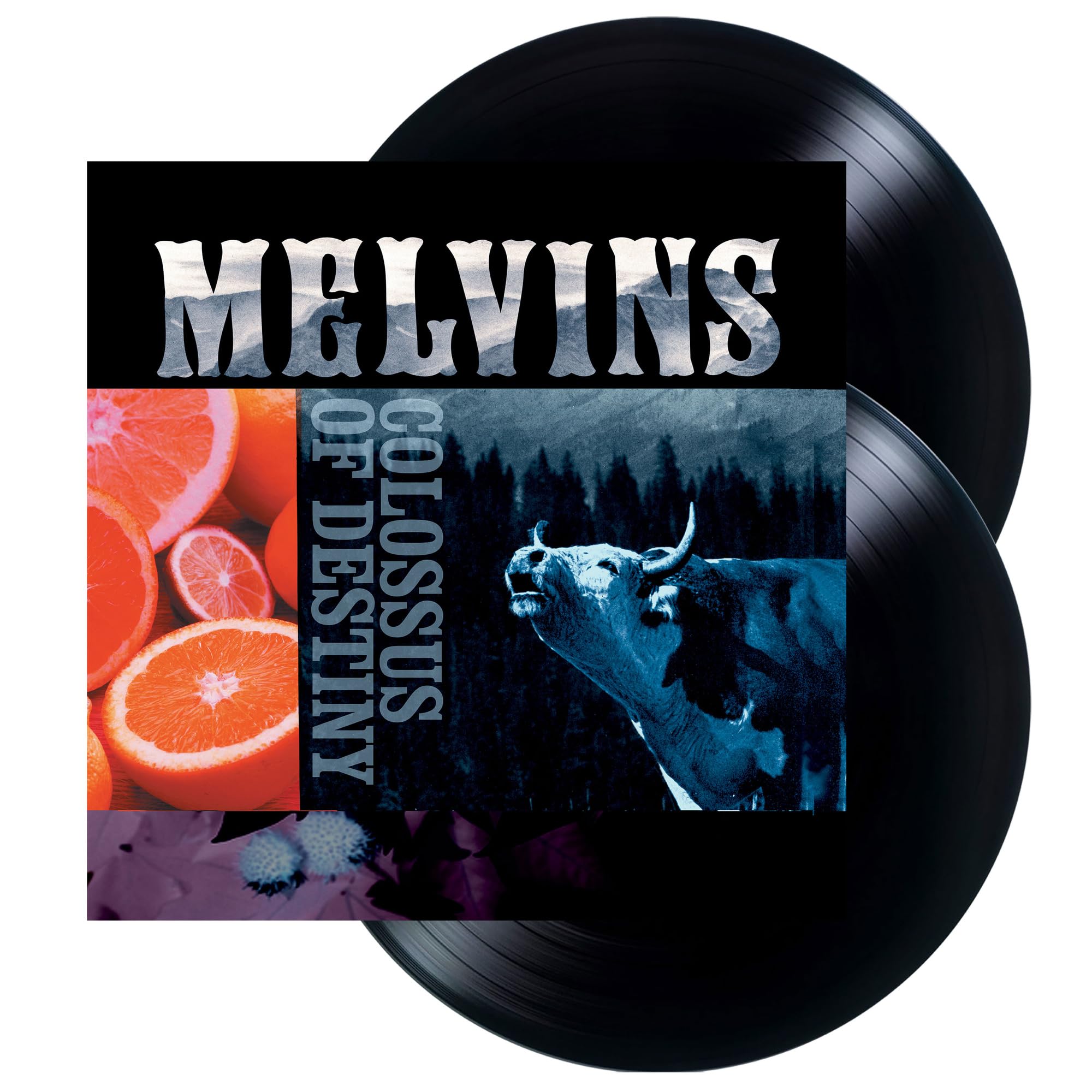 Melvins - Colossus Of Destiny (2× Vinyl LP 2025, Limited Edition, Reissue)