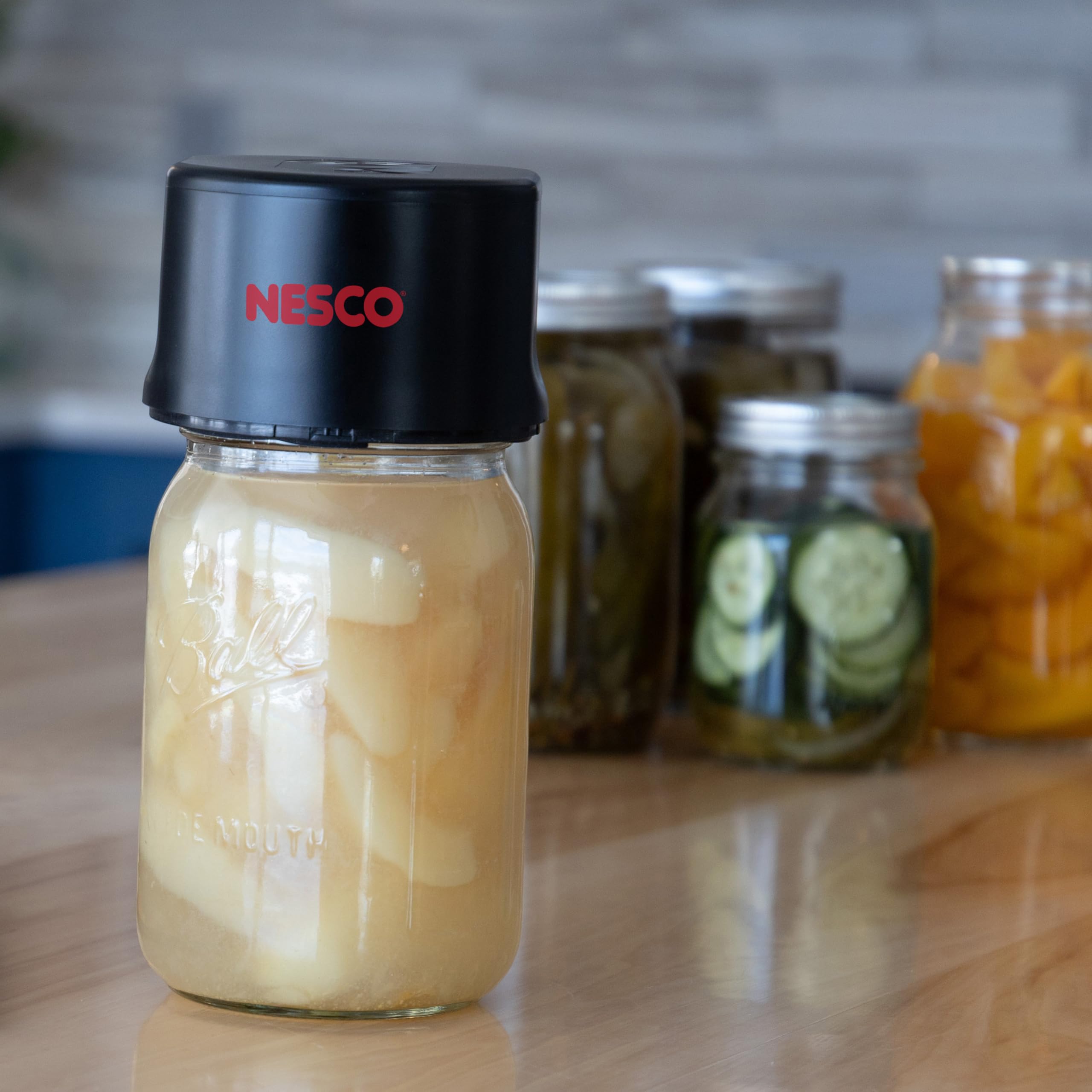 NESCO 900 美顔器 ハードケース付き NESCO 900 美顔器 ハードケース付き