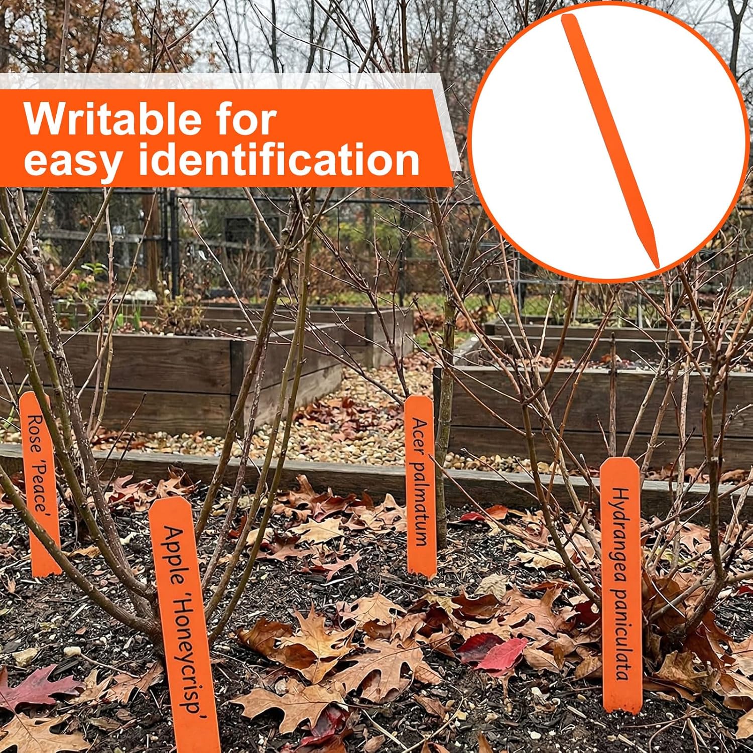 Weysat 100 Pcs 12" Wood Plant Labels for Field or Containers Plant Tags Wood Garden Labels for Seedling Stakes Markers Nursery Seed Tags with Smooth Surface for Pot Herbs Flowers Vegetables (Orange)