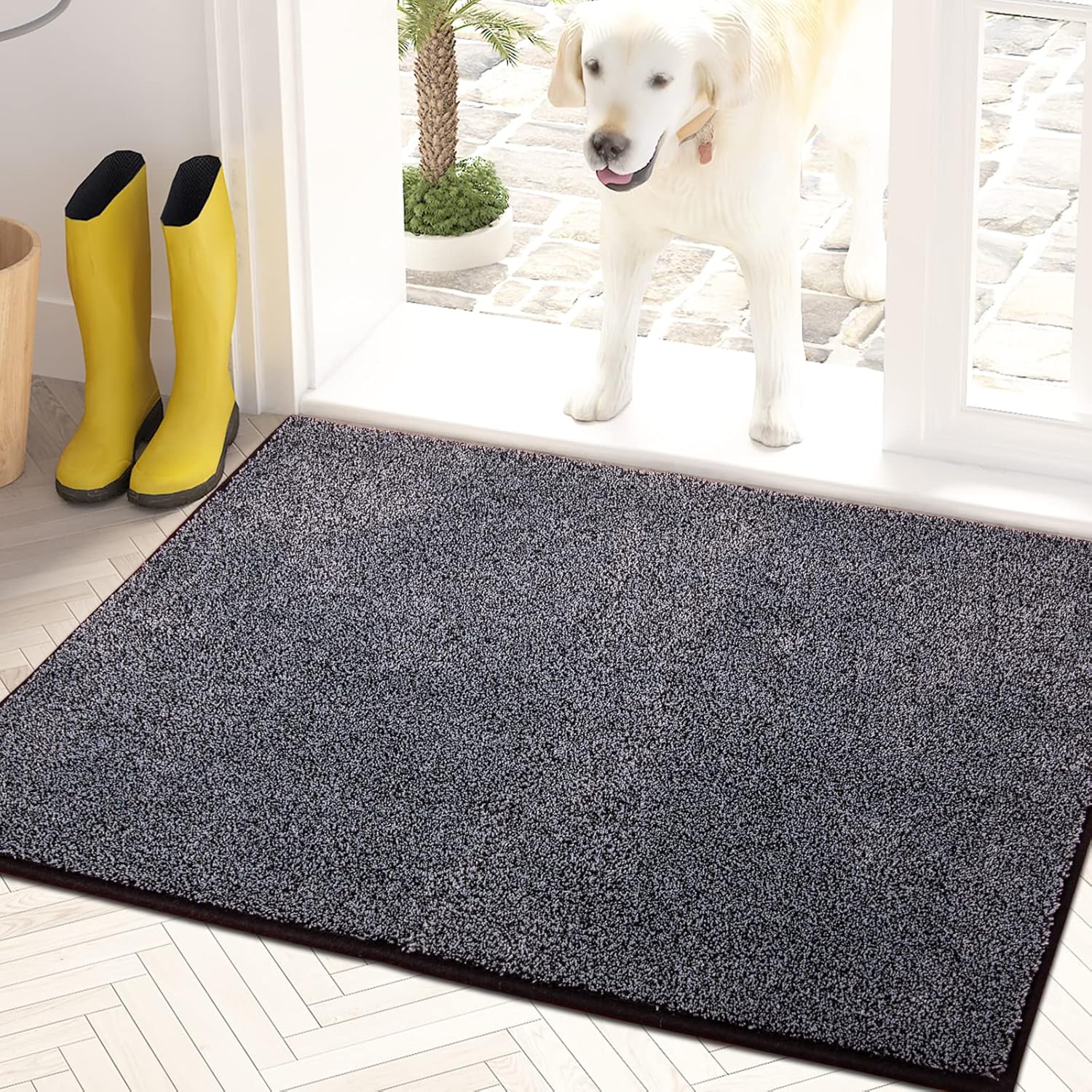 muddy mat for dogs