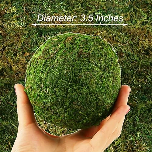 Miniatura 3 de Bolas de musgo, globos de musgo de plantas verdes naturales para decoración verde, cuenco, cesta y jarrón para fiesta de boda, hechos a mano (3.5