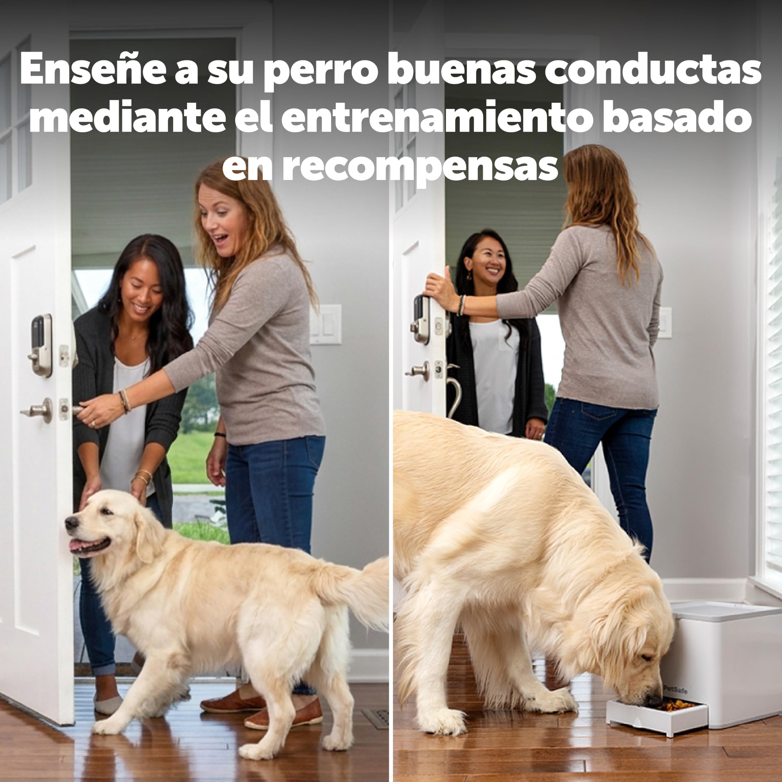 PetSafe Teach & Treat – Adiestrador con Mando de Recompensa, Dispositivo de Entrenamiento de Recompensas, Entrenamiento con Control Remoto, Refuerzo Positivo para Perros, Dispensador de Prem