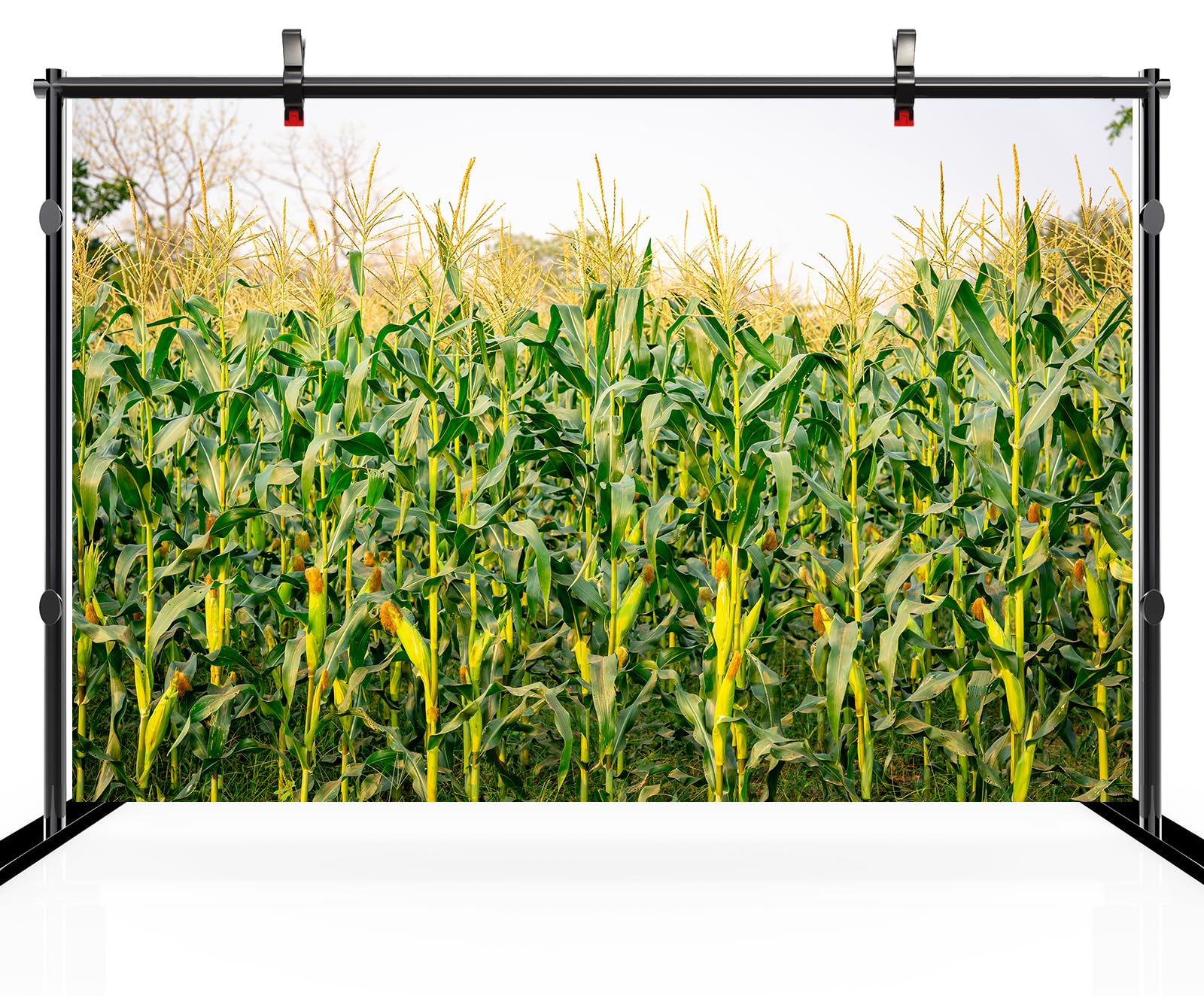 Loccor 5x3ft Fabric Fall Cornfield Backdrop Spooky Dark Corn Field Drying Dramatically Corn Field Background For Halloween Cornfield Party Decorations Photo Props