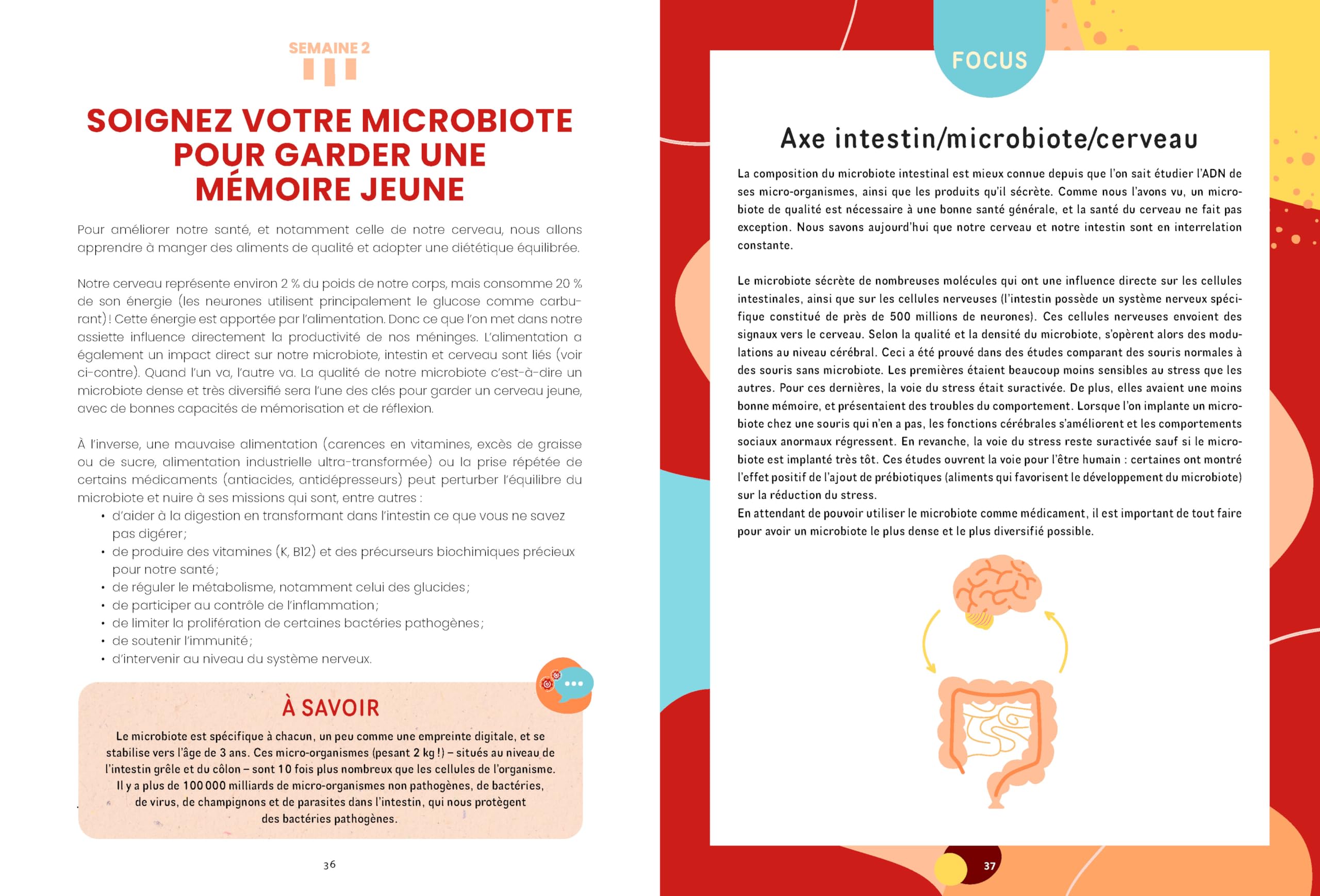 Je muscle ma mémoire: Le programme complet pour stimuler sa mémoire à tout âge