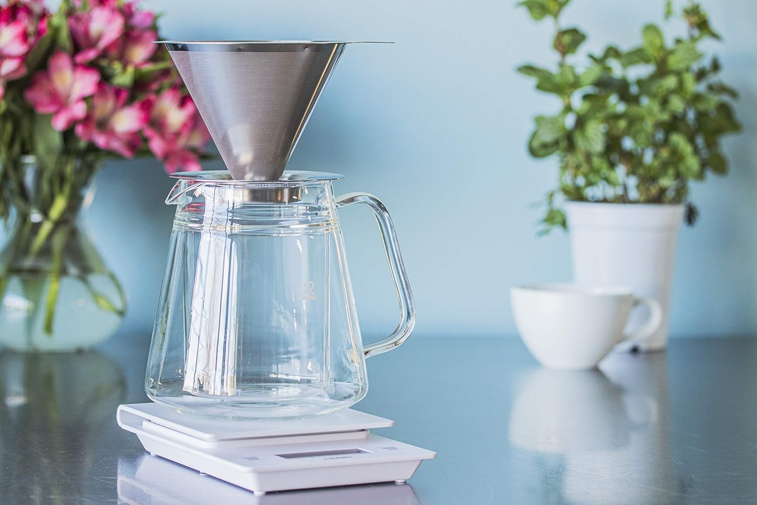 Get Discount 70% Price Hario V60 Double Wall Glass Coffee Server, Size 02, 500ml, Clear One-Day Sale: Up to 80% Off Hario V60 Double Wall Glass Coffee Server, Size 02, 500ml, Clear