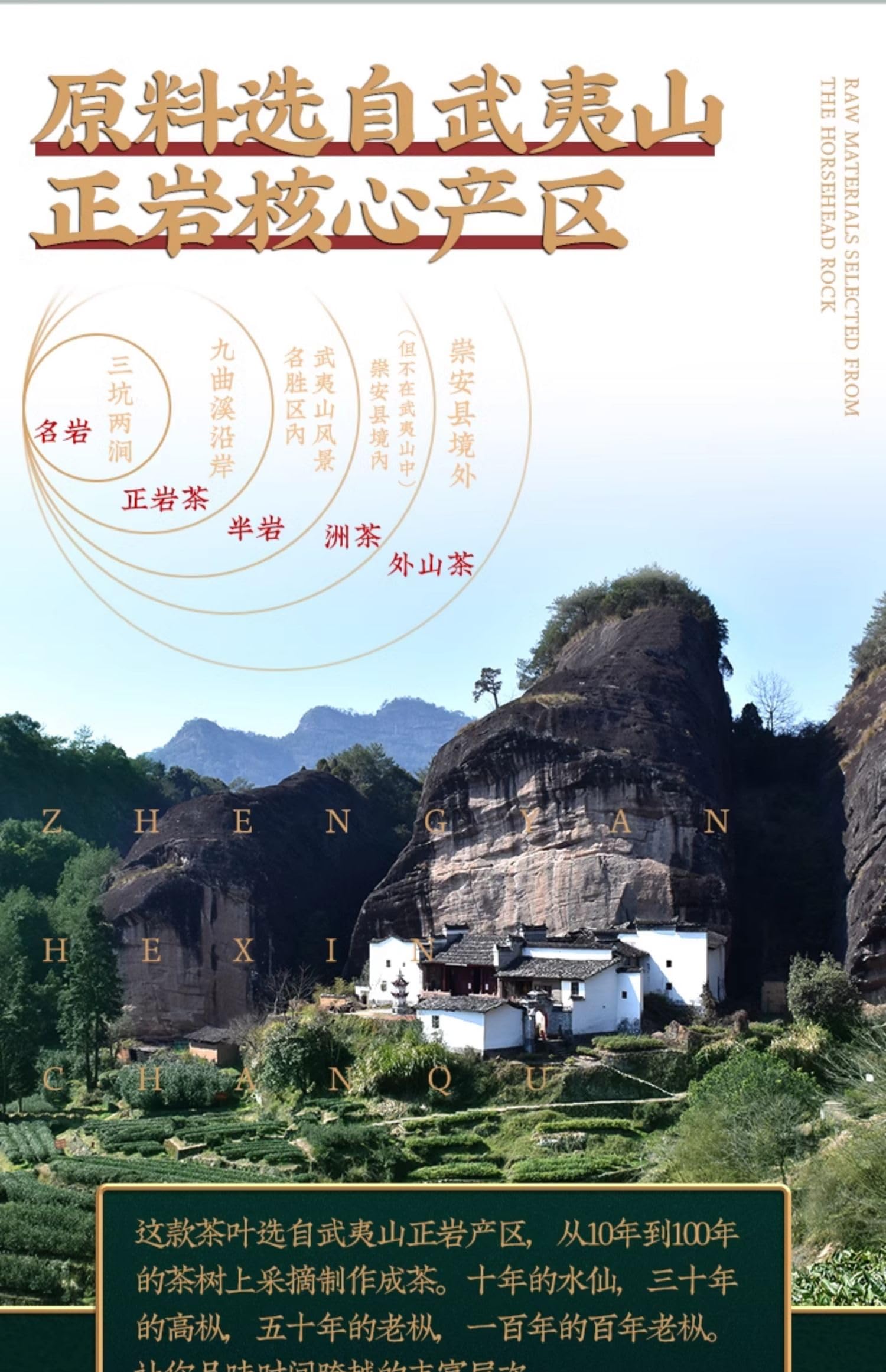 Amazon.com : 武夷岩茶,武夷山大红袍茶叶百年老枞水仙散装,133g*4