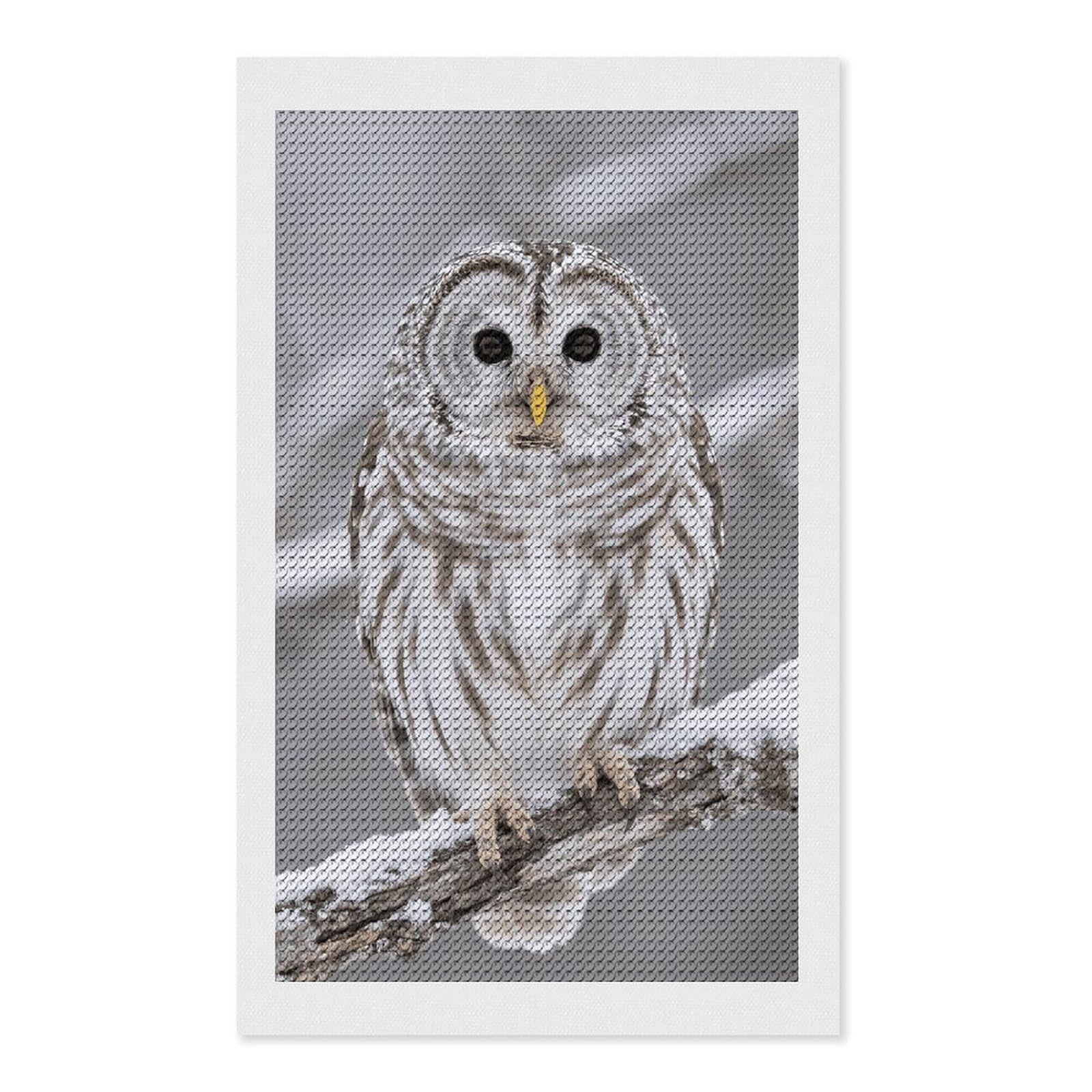 FodPand Curious Barred Owl Closeup 5D Diamond Painting Kits for Adults Beginners Full Drill Round Diamond Dots Pictures Gem Art Supplies for Home Wall Room Decoration DIY Craft Set Gift 12x20