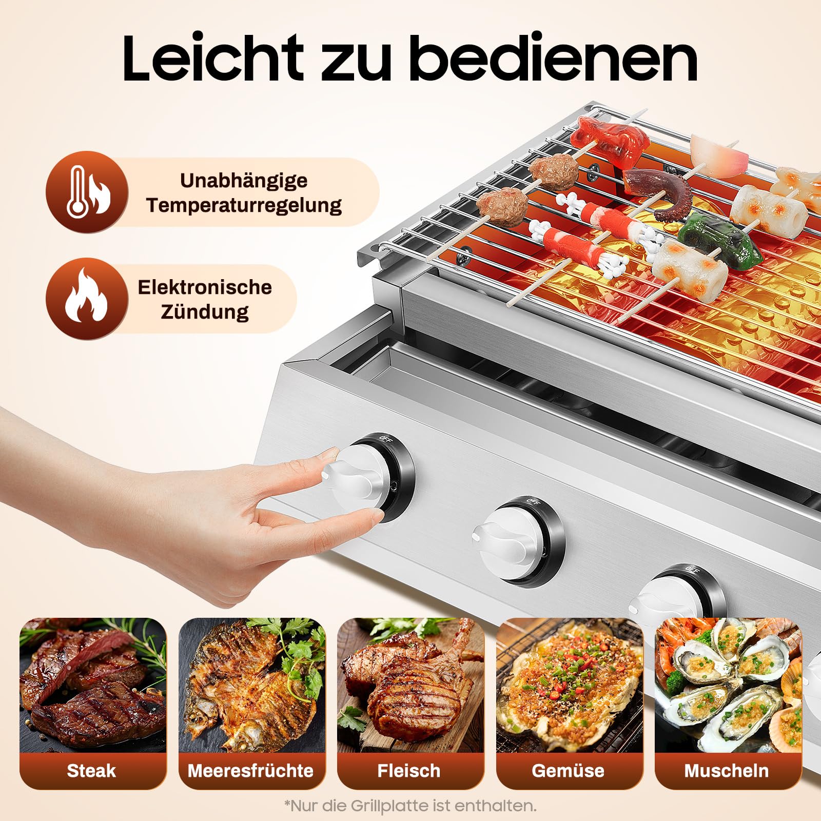 Barbecue a gas portatile GPL, in acciaio inox, con piastre in acciaio, 57 x 39 x 17,5 cm, per grigliare bistecche, frutti di mare, carne, verdure