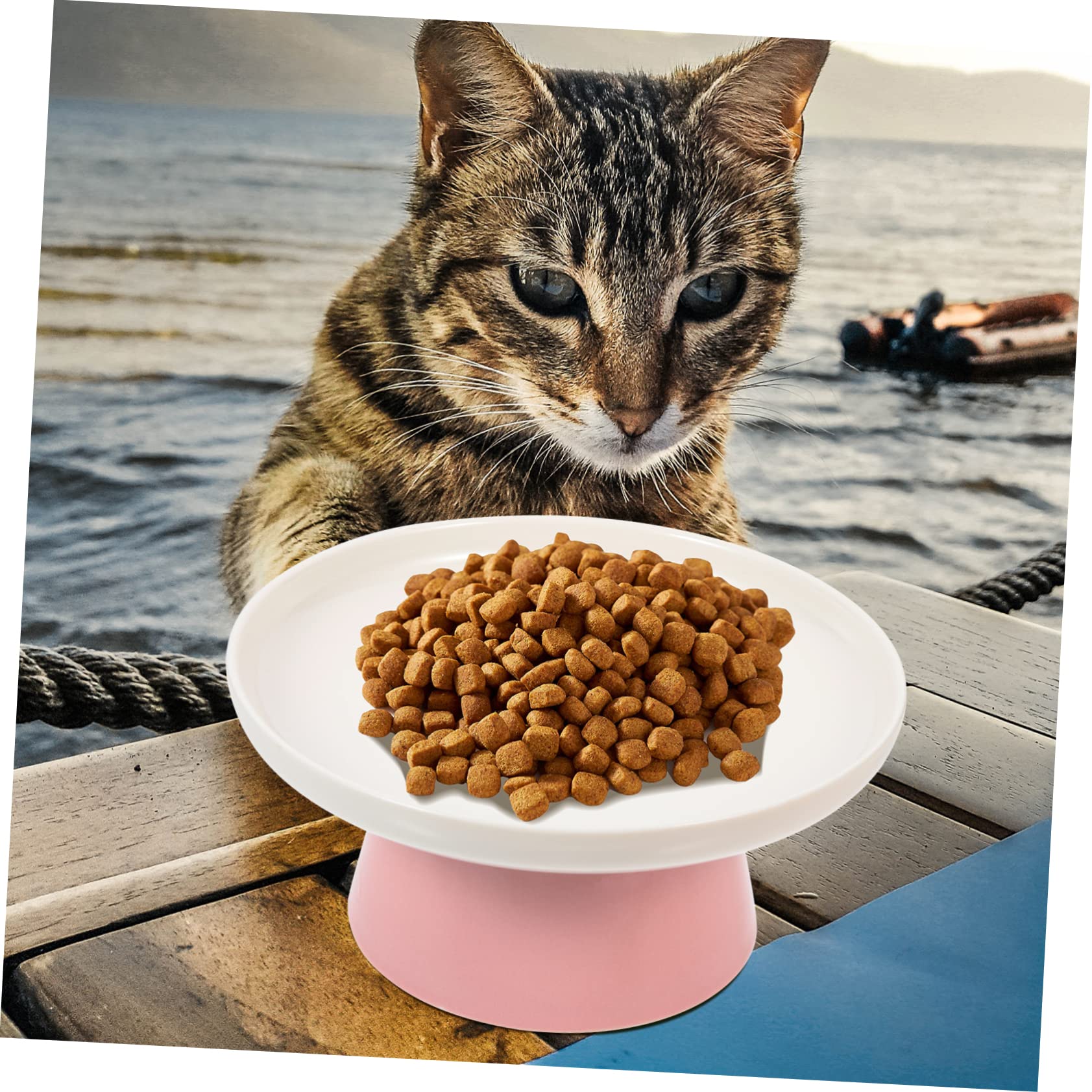 Katzennapf Leichter Reinigung und Nackenschutz Keramik mit Hohem Sockel und Geeignet für Fütterung von Katzen im Haus