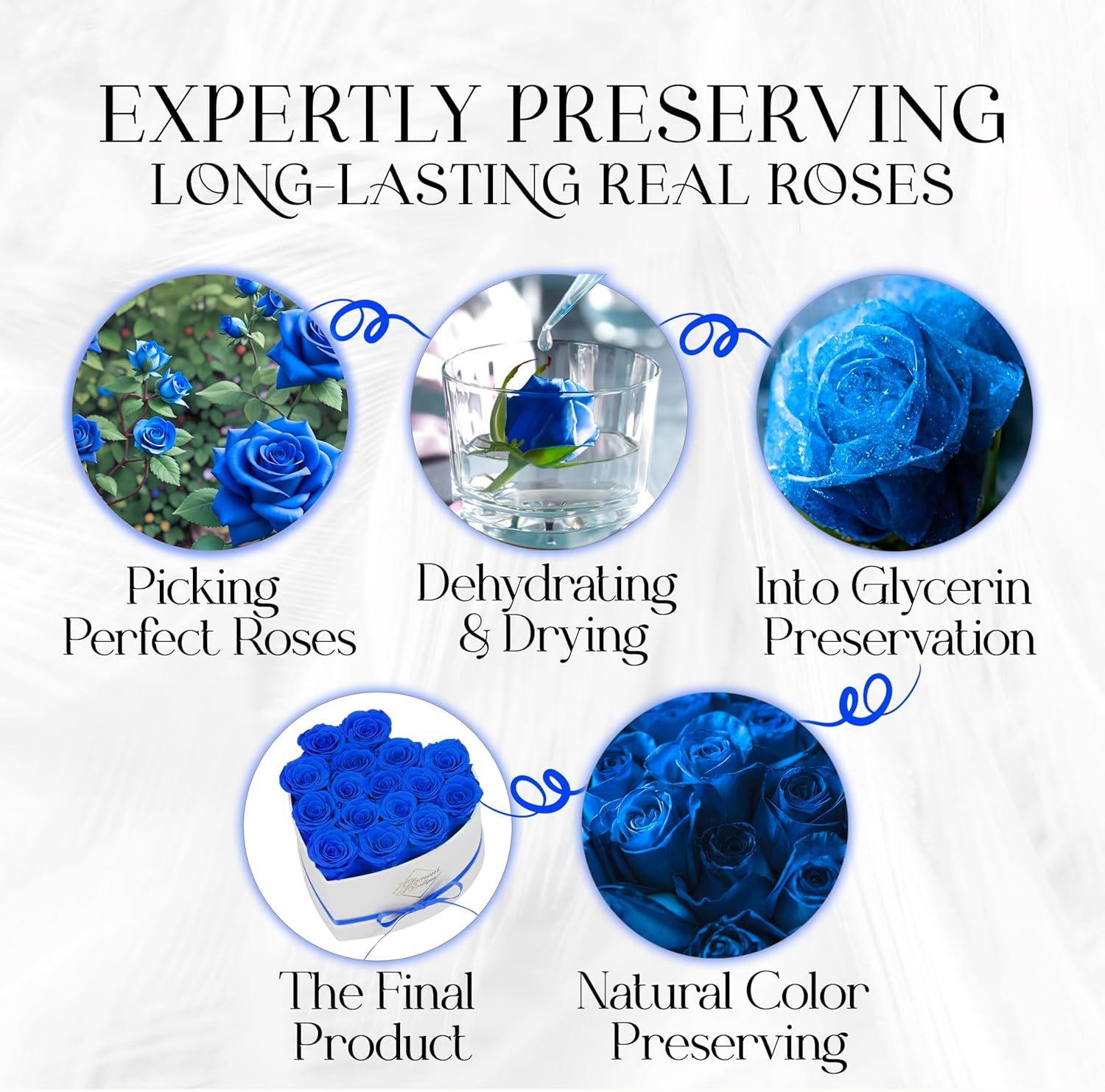 GLAMOUR BOUTIQUE Preserved Roses in a Box - Gifts for Her, Wife & Mom, Rose Flowers Forever Decor for Birthday Gift, Get Well Flower Bouquet Cased in White Box with Cover, Blue, 16 (Color-Treated) - Image 8