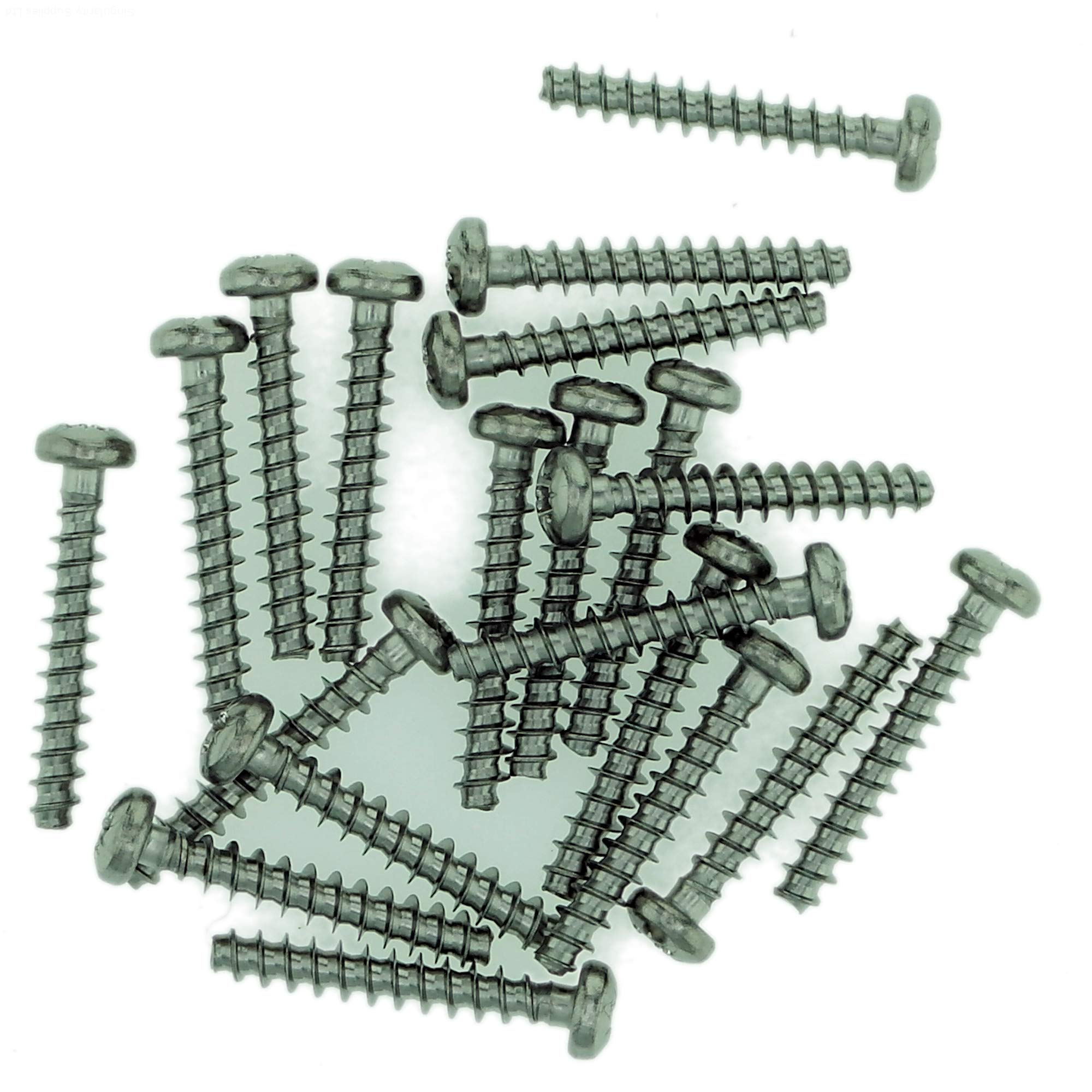 Singularity Supplies D4 (4Mm X 25Mm) Pozi Pan Screws For Plastic - Stainless Steel (A2) (Pack Of 20)