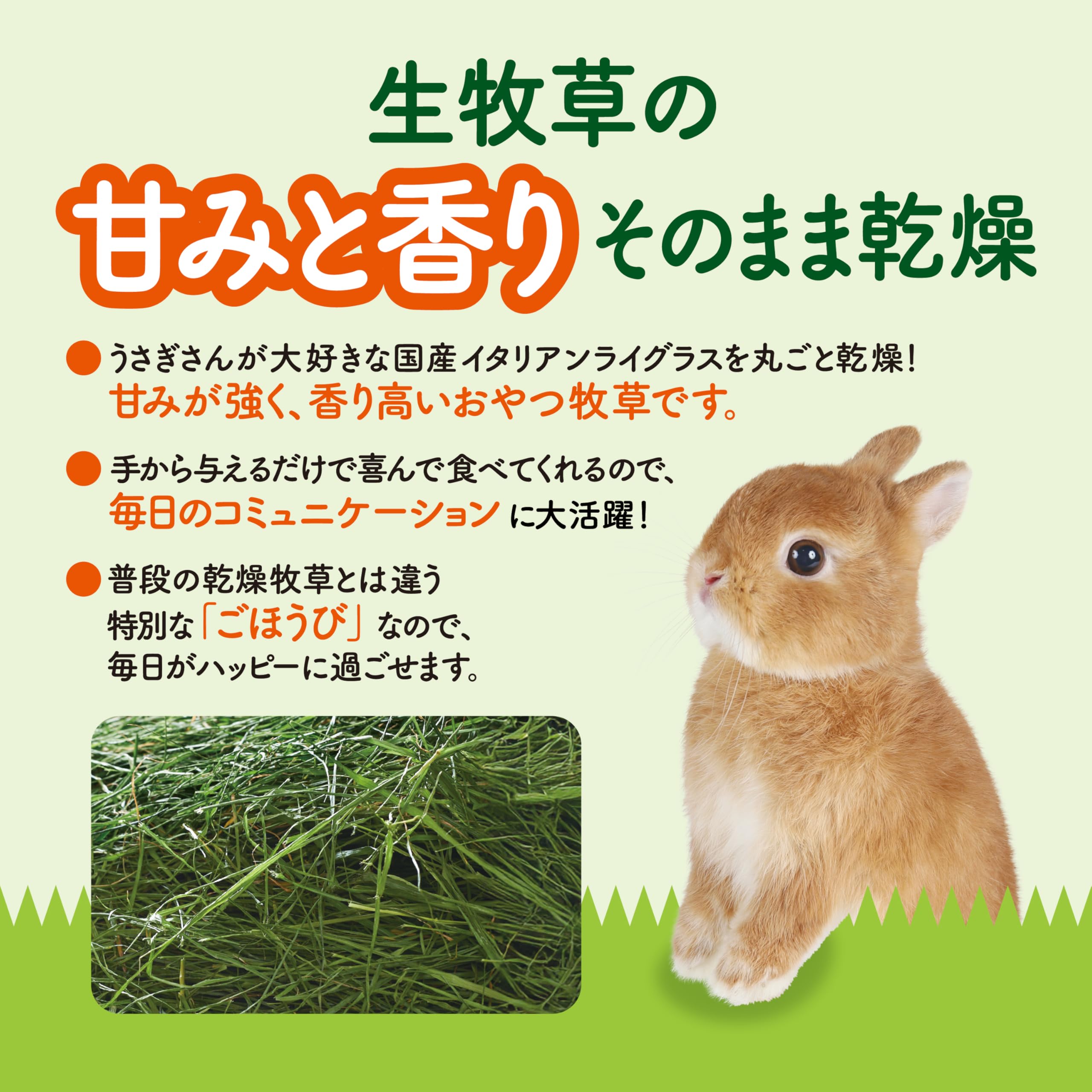Amazon.co.jp: ジェックス 旬牧草 毎日ごほうび イタリアンライグラス