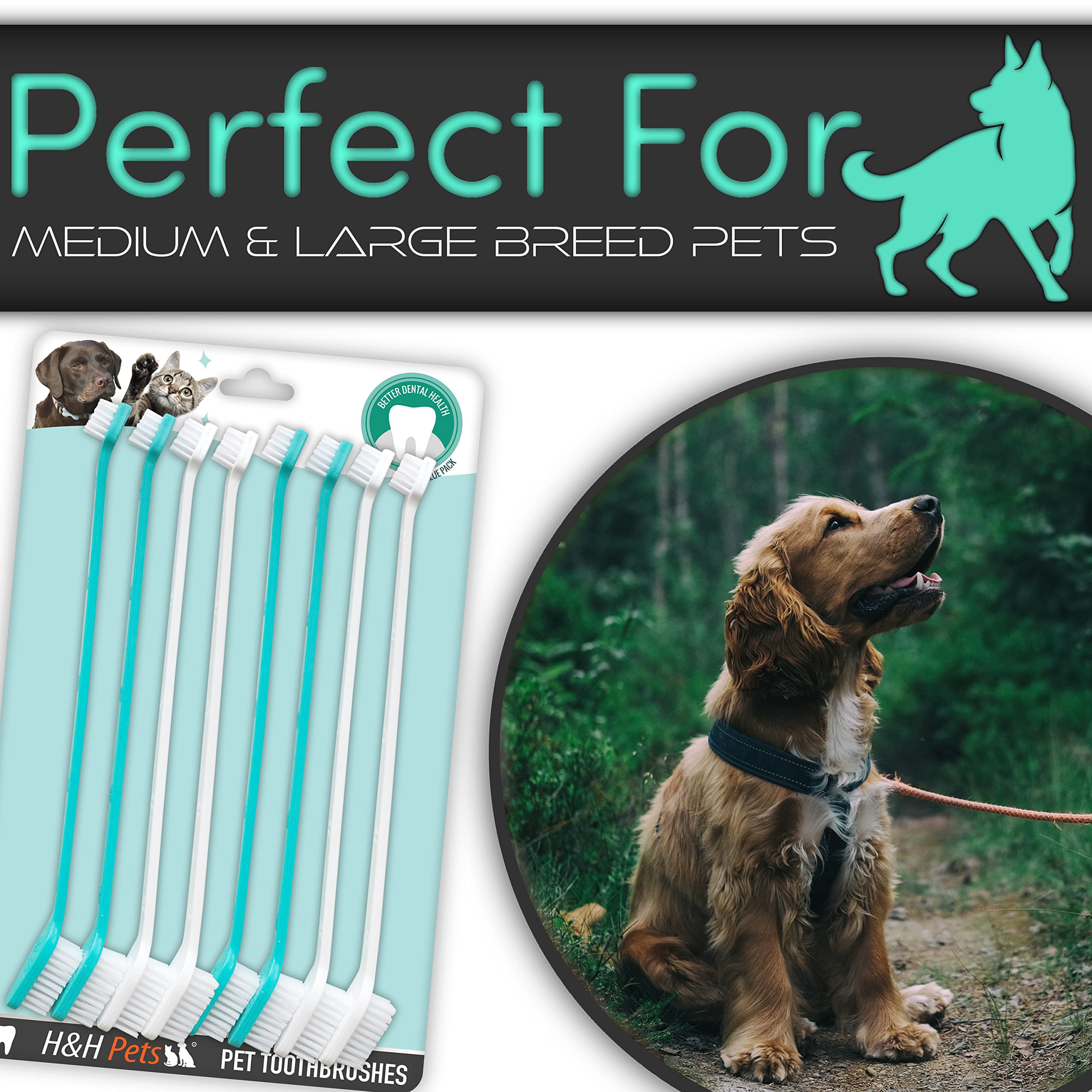 H&H Pets Cepillo de dientes para perros con diseño de doble cabeza para perros pequeños y grandes, paquete de 4 u 8 unidades