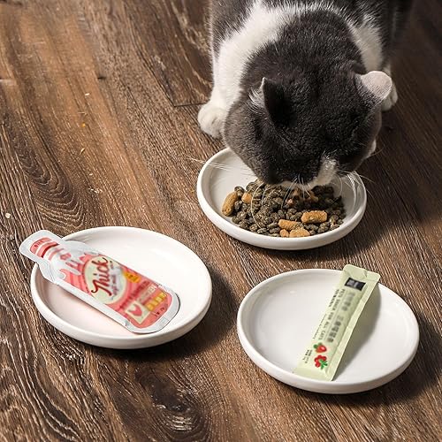 Miniatura 5 de 3 cuencos de cerámica para gatos, 5.5 pulgadas, platos para gatos para alimentos y agua, plato pequeño para perros (blanco)