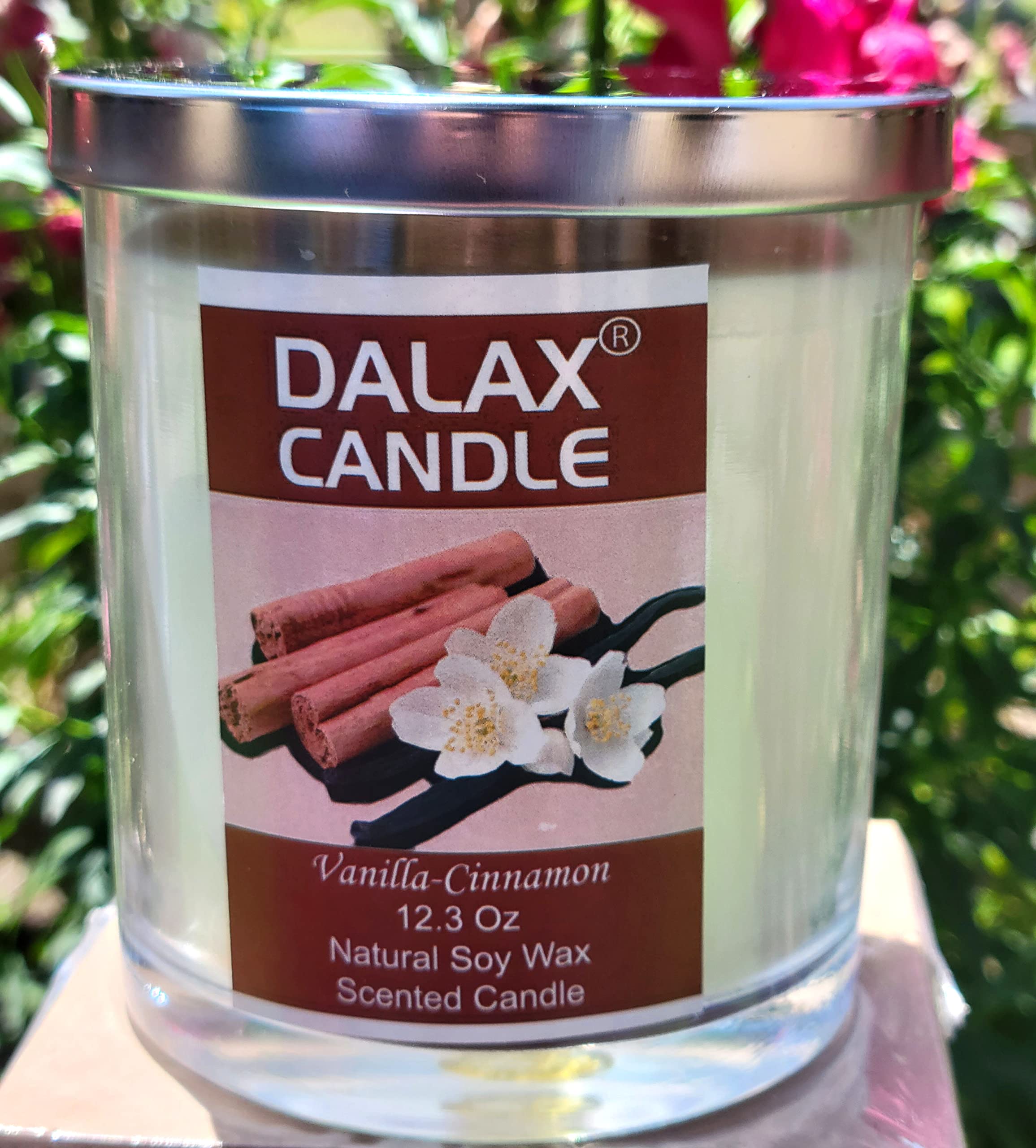 Dalax-Soy Candle Jar Scented Candle, Non-Toxic Soy Wax Candles in Glass Jars, 12.3 Oz Aromatherapy Candles Stress Relief, Made with Natural Soy Wax and Essential Oils (Vanilla Cinnamon)