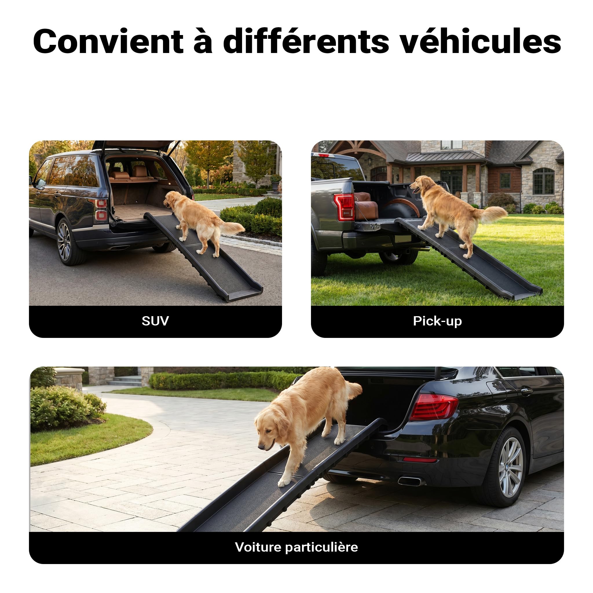 Wiltec Rampe pour Chien 155 x 40 cm, 90 kg, Pliable, Surface antidérapante à Picots, Rampe antidérapante pour Chiens, Aide à l'accès Pliable en PP pour Voiture, SUV et Pick-up