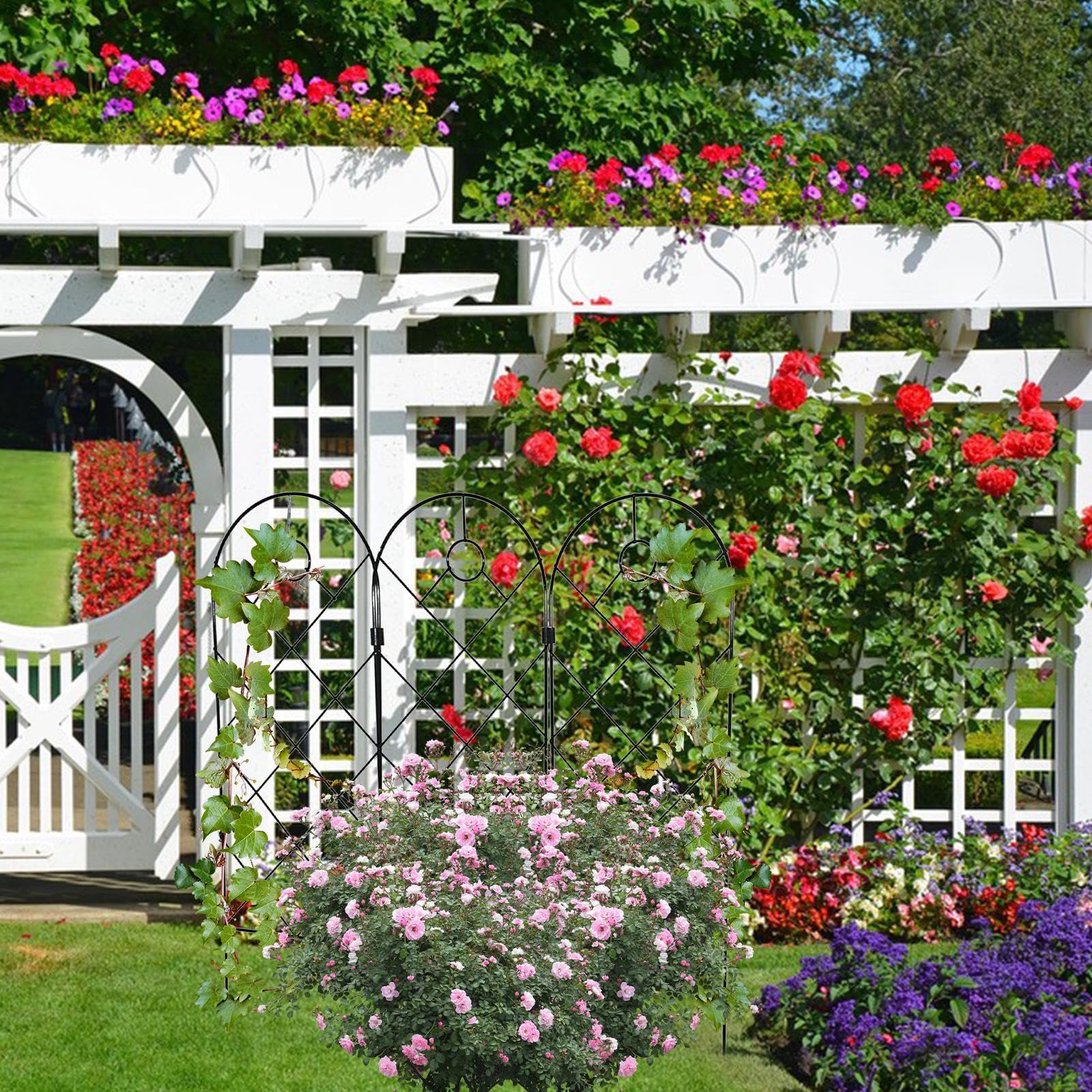 Giardino traliccio - Telaio di supporto botanico reticolo vite per planner | Picchetto di supporto per pianura in metallo a traliccio da giardino recinzione decorativa griglia rampicante vite