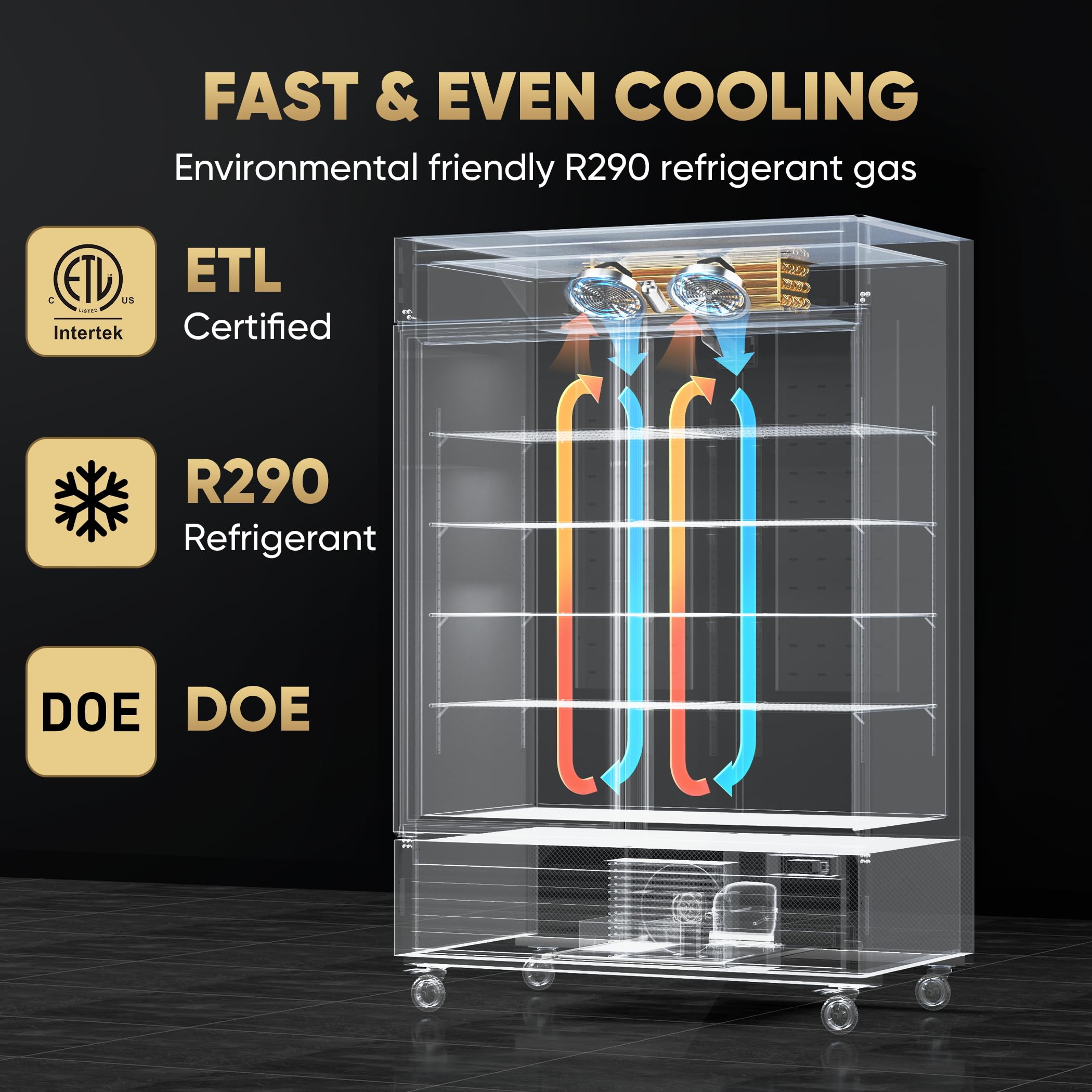 COOLSKI 54"W Commercial Freezer, -13℉ ~-5℉, 49 Cu.Ft 2 Door Reach-In Stainless Steel Upright Freezer For Restaurant, Café, Shop, Business, 8 Adjustable Shelves on Fridge.com - View 6