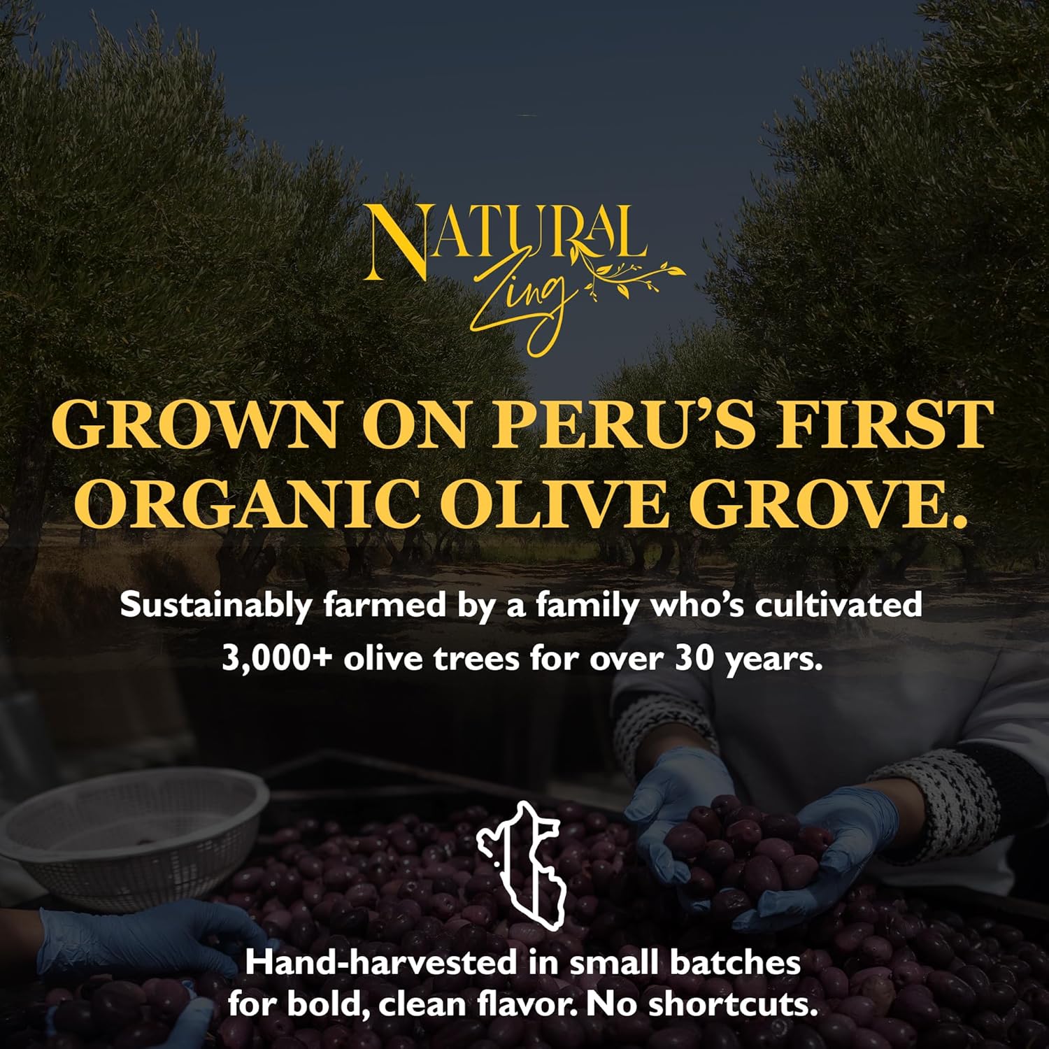 Natural Zing Organic Peruvian Dried Black Olives – Raw, Pitted & Herb-Infused Botija Olives with Rich Flavor for Healthy Snacking, Cooking & Charcuterie, Unbrined, 8 oz