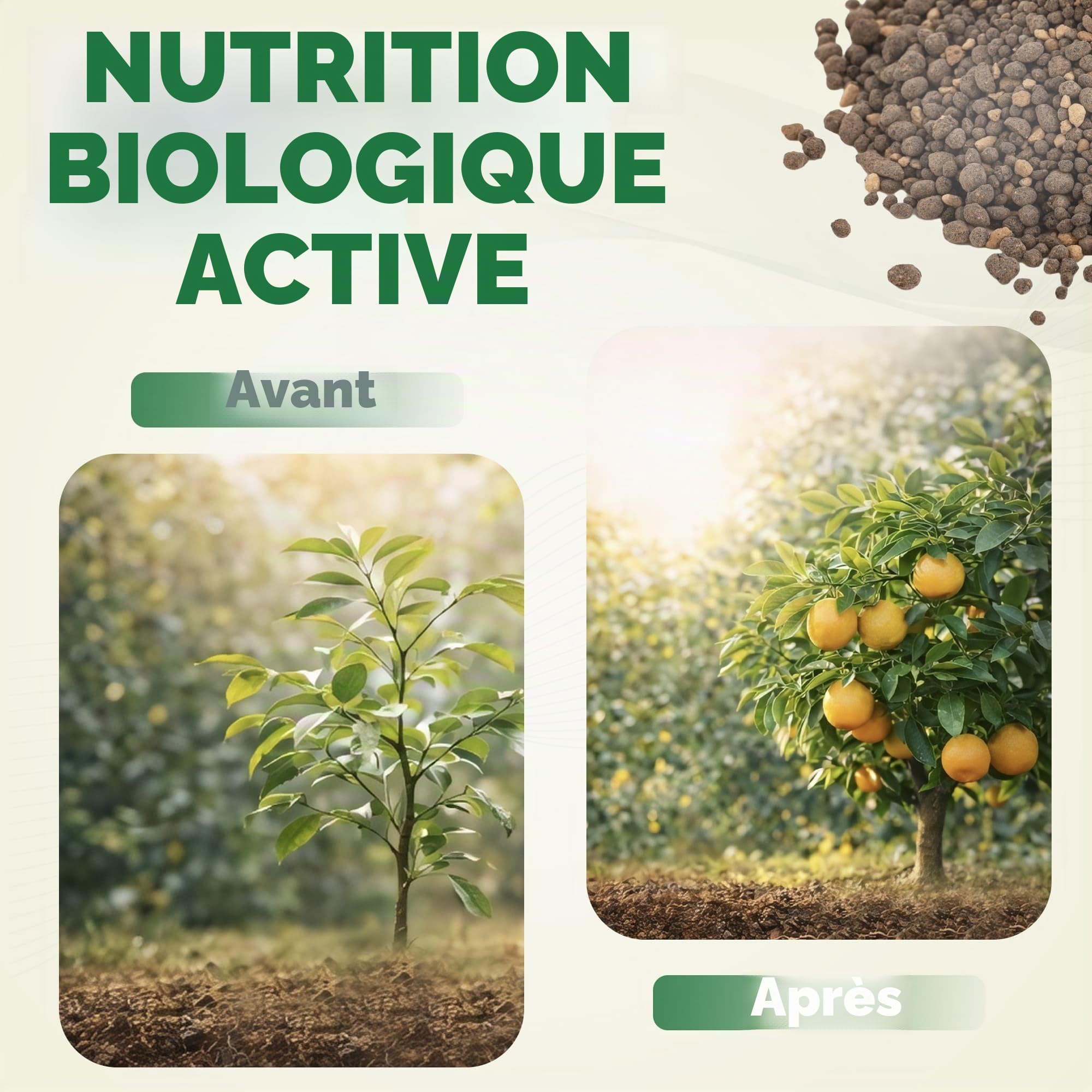CITRUMAX Agrumes BIO engrais N-P-K granulaire 4-6-10 azote + phosphore + potassium + fer + magnésium + calcium (Limoni-Mandarini-orange--Kumquat) Culture biologique de haute qualité (3,5 kg)