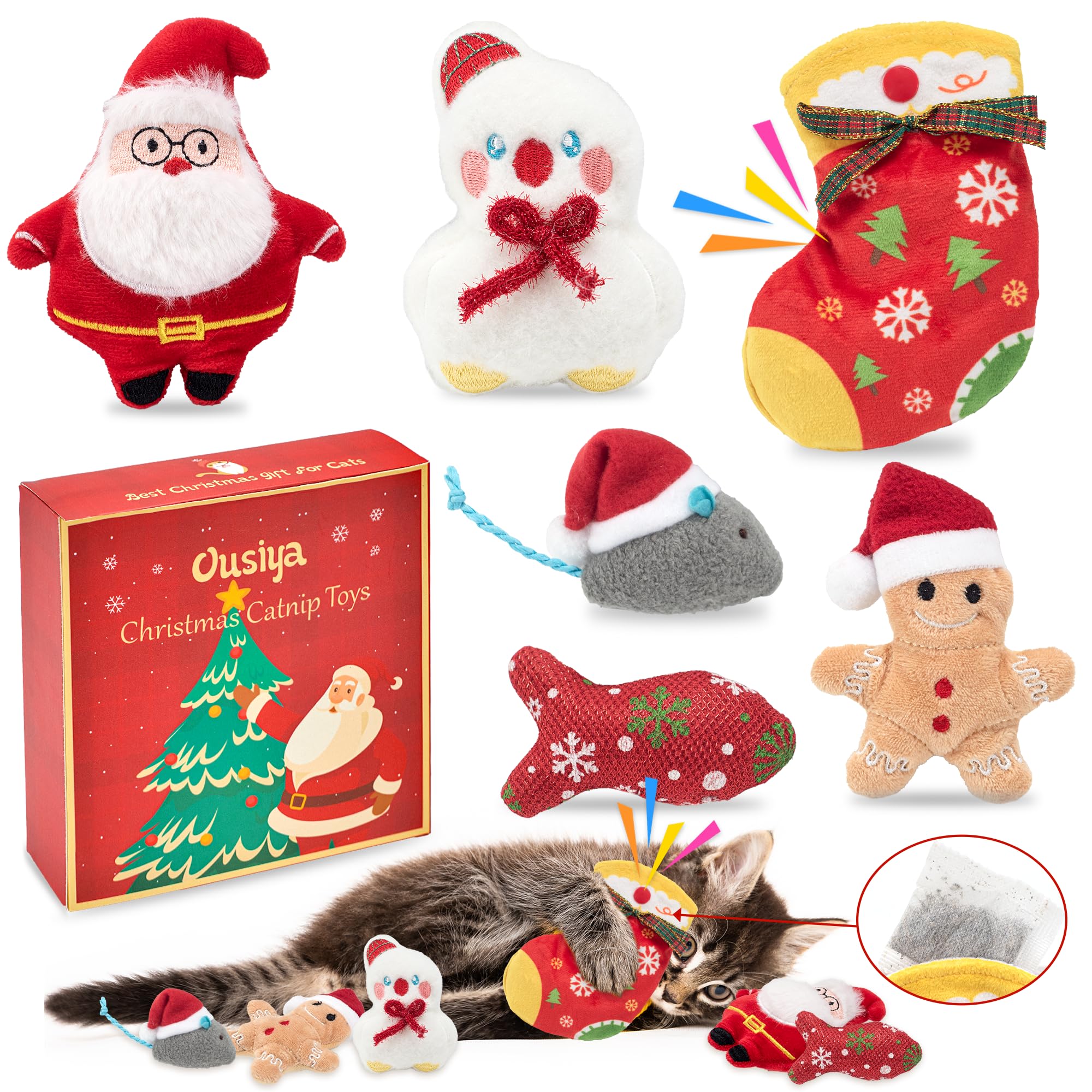 Jouets interactifs à mâcher pour chat d'intérieur : lot de 6 avec boîte cadeau