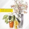 Product Photo 6