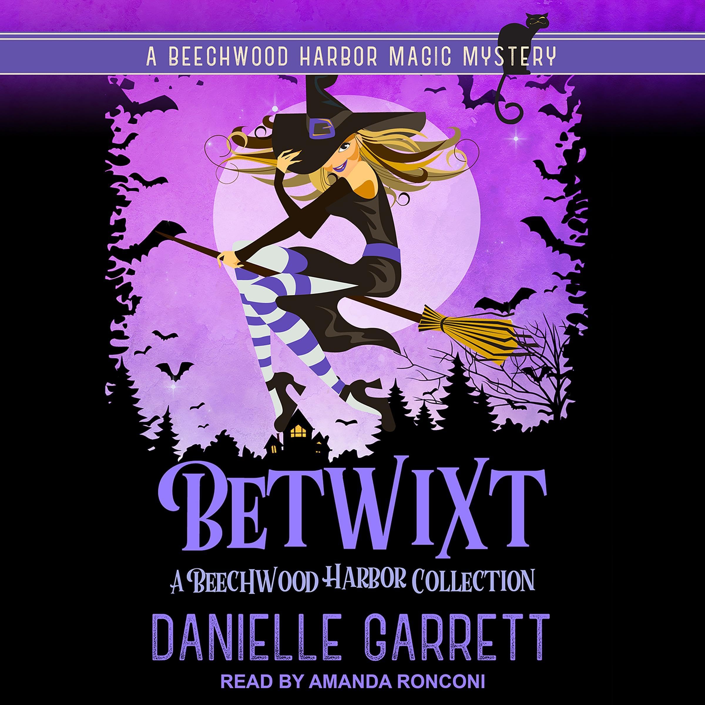 Cover art for Betwixt Volume I