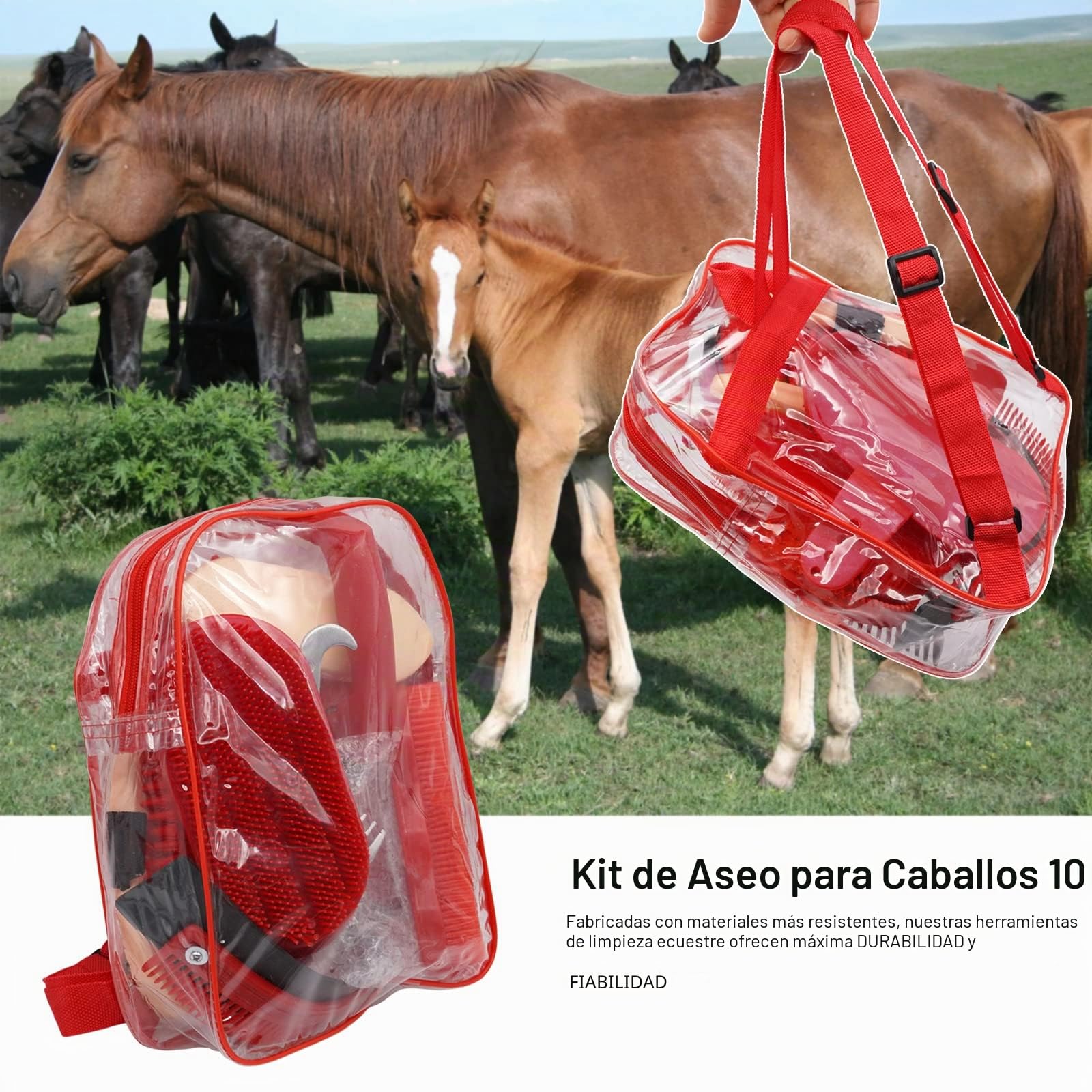 Kit De Aseo Para Caballos 10 Piezas Kit Profesional De Cuidado De Caballos, Cepillo Ecuestre, Peine De Curry, Herramienta De Limpieza De Caballos Juego De Limpieza Para Caballo o Pony