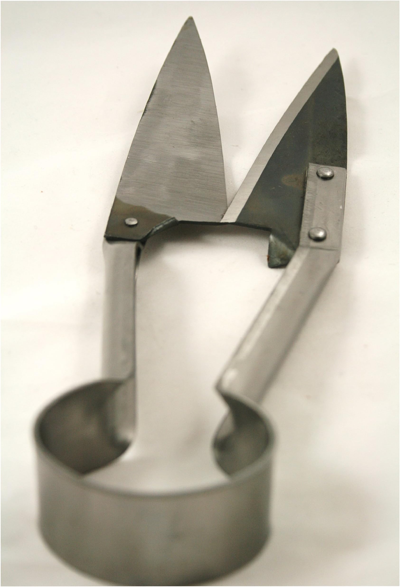 Cox Agri Sheep Shears Straight 133mm 5.5"- Dagging Shears