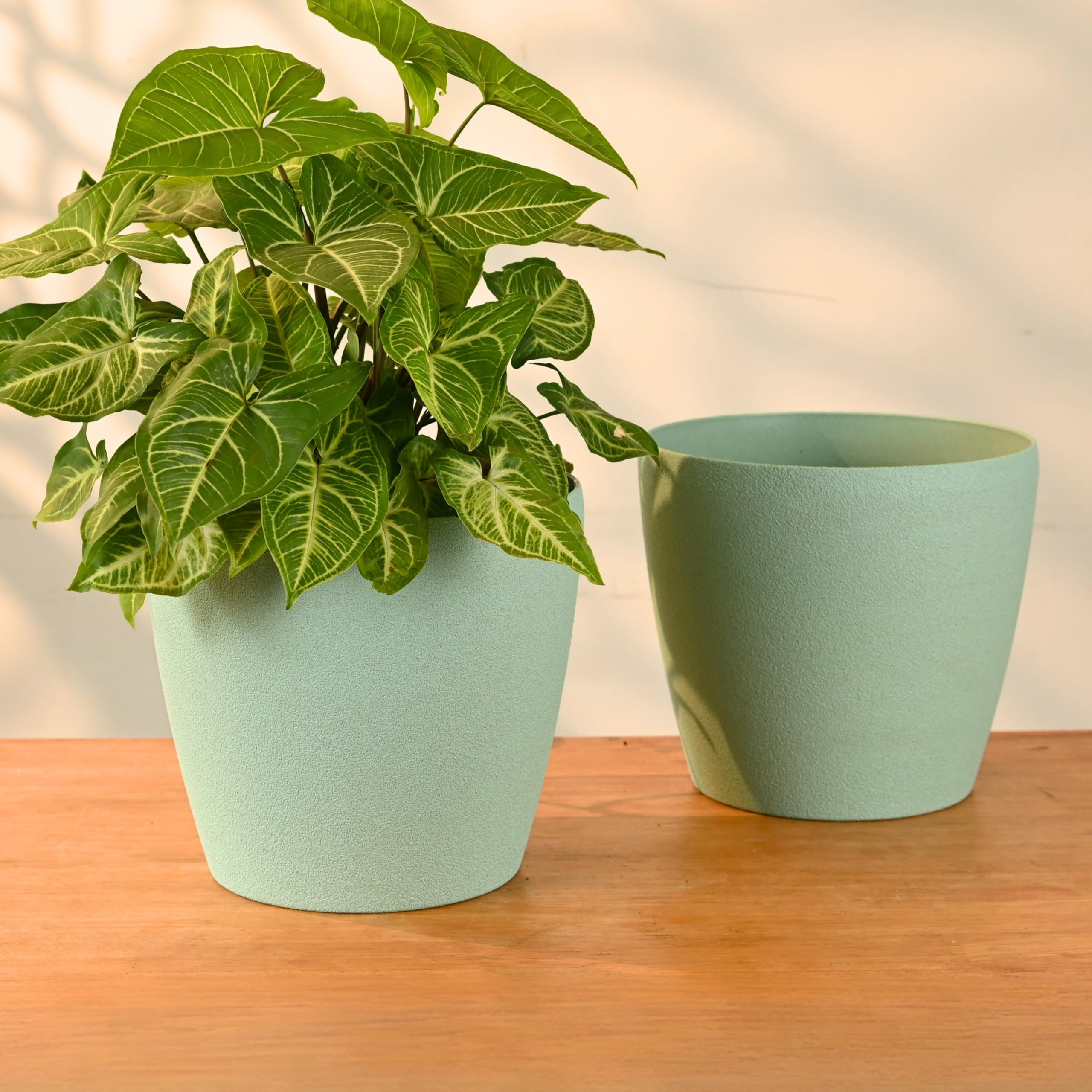 Eha Earth-Friendly Deco 9 Inch Self-Watering pots and Planters, Pack of 2 | UV Protected Plant Pots | Flower Pots for Garden, Indoor, Home Decor, Outdoor & Balcony