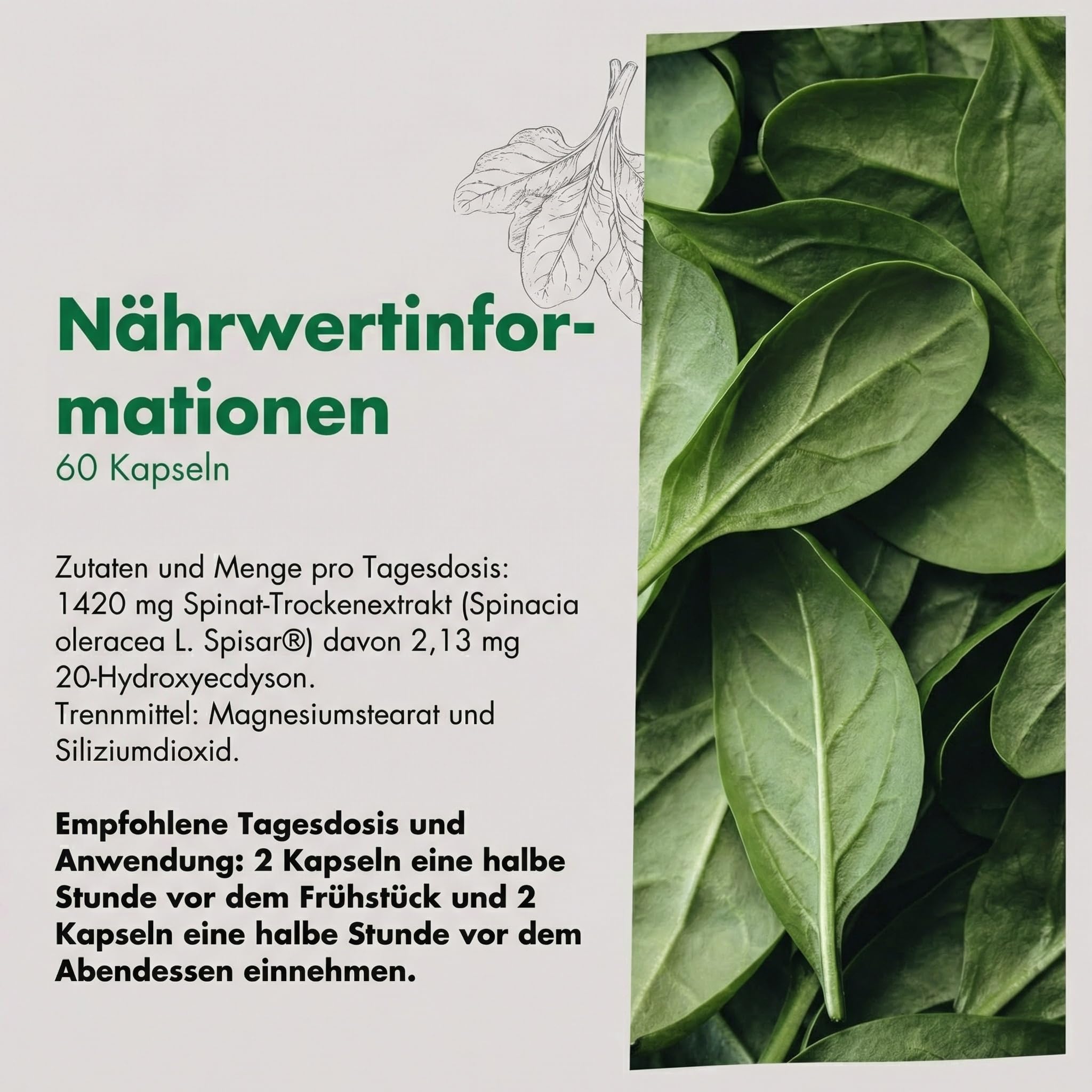 Granatum Plus - Spinatextrakt - 20-Hydroxyecdysone - Nahrungsergänzungsmittel - Stoffwechselwohlbefinden - Sportliche Leistung - Muskelmasseaufbau - 1 Box 60 Kapseln