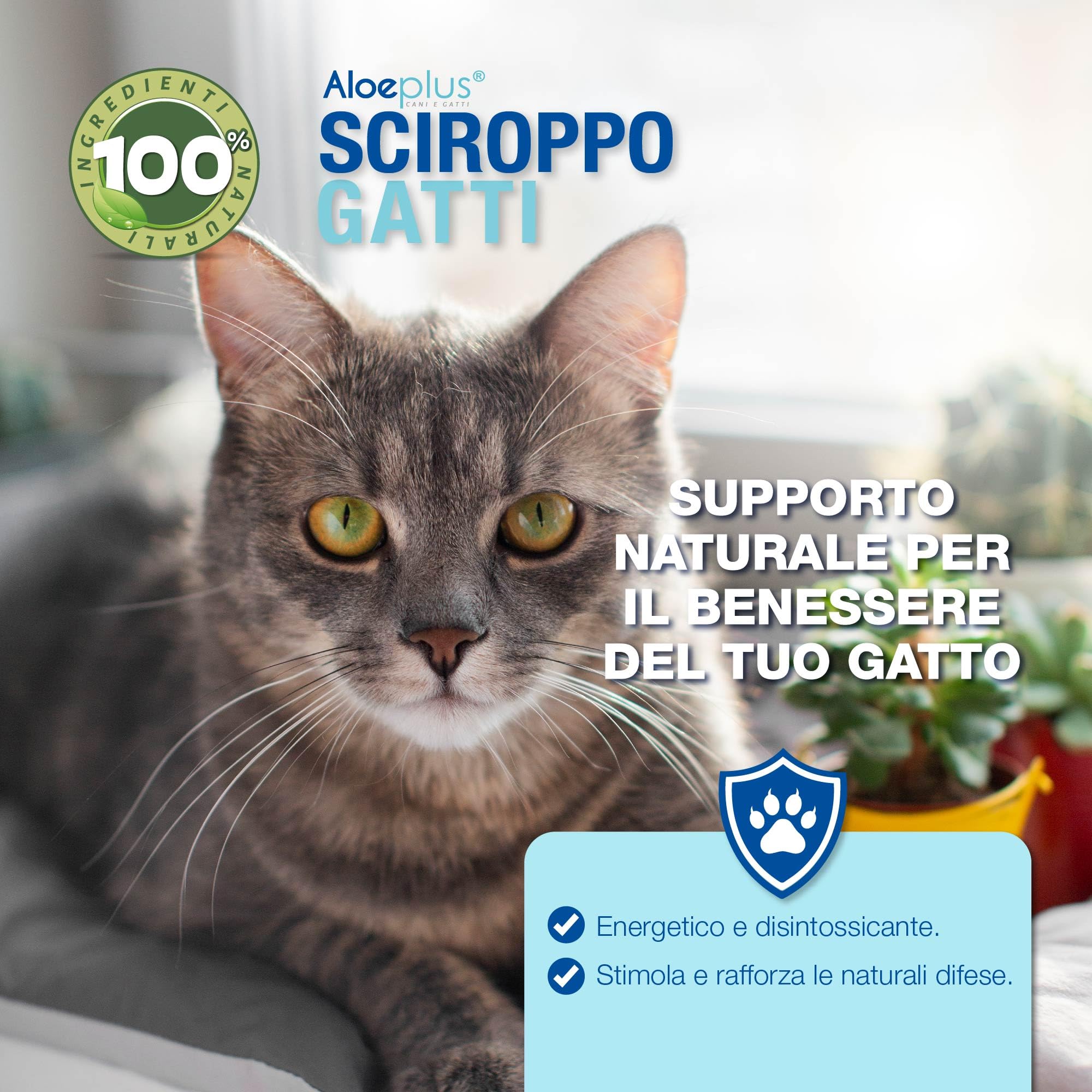 ALOEPLUS Gatti Sciroppo 100ml - Alimento Complementare Energetico, Disintossicante a base di Aloe Arborescens BIO, Rafforza le Naturali Difese, Ideale come ricostituente Gatto Anziano e Cuccioli