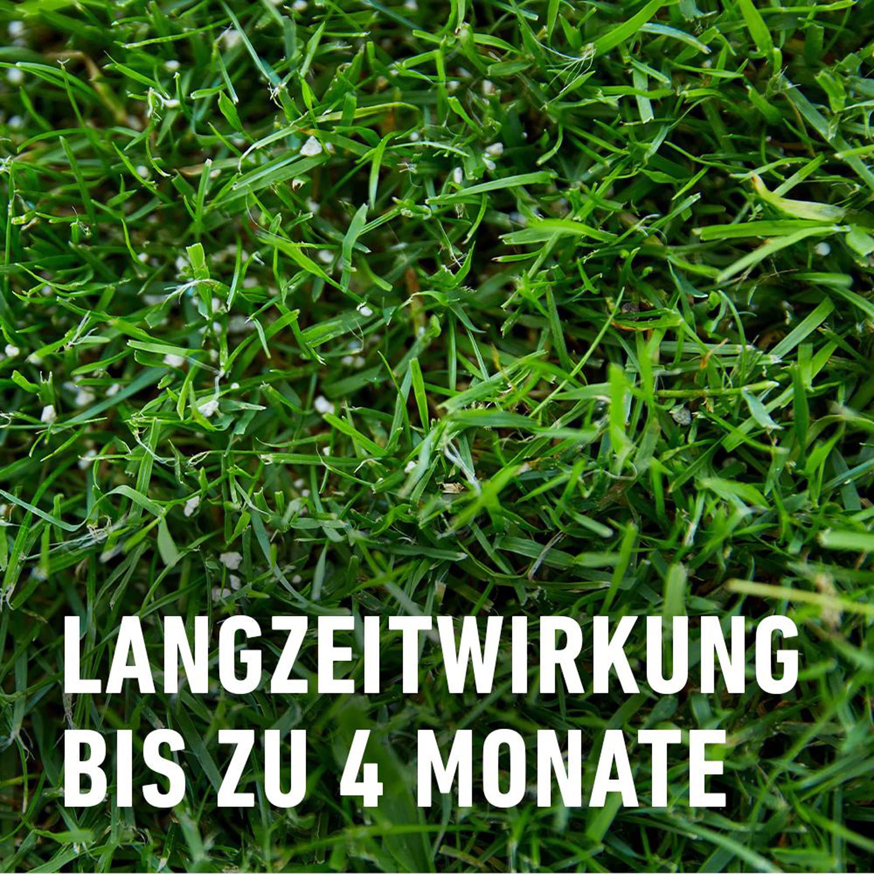 Compo 13350 Floranid Lawn Fertiliser ( : Amazon.de: Garden