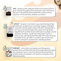 Vista 6 de MycoHaus Kit de cultivo de hongos todo en uno con puertos de inyección, bolsas de cultivo de interior para hongos, suministros de cultivo