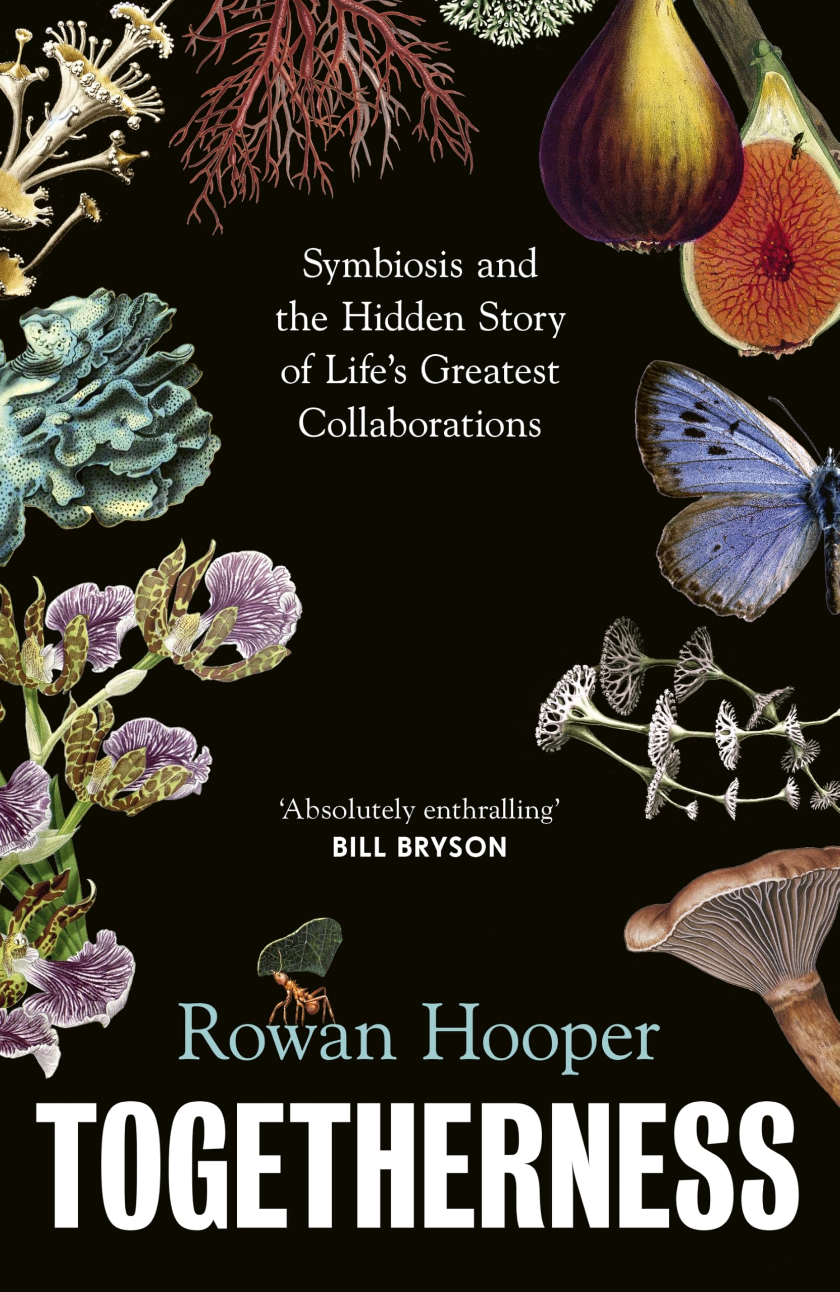 Togetherness: How symbiosis can change the way we understand our world, ourselves and our future