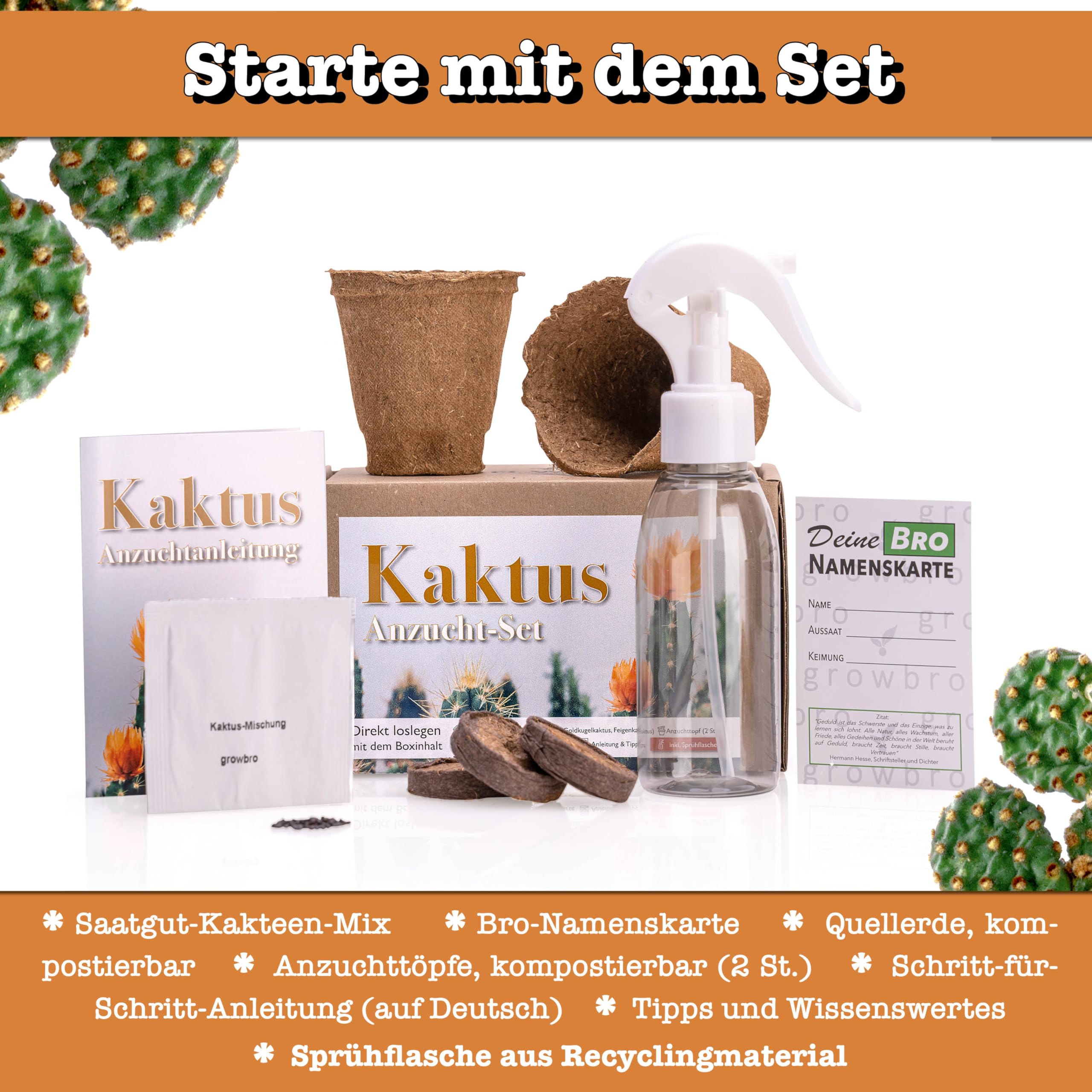 Cactus growbro Kit de culture avec vaporisateur, cadeau d'anniversaire, plantes succulentes, cadeaux pour femmes et hommes, cadeau d'invité, plantes d'intérieur, cadeau de jardin, cactus