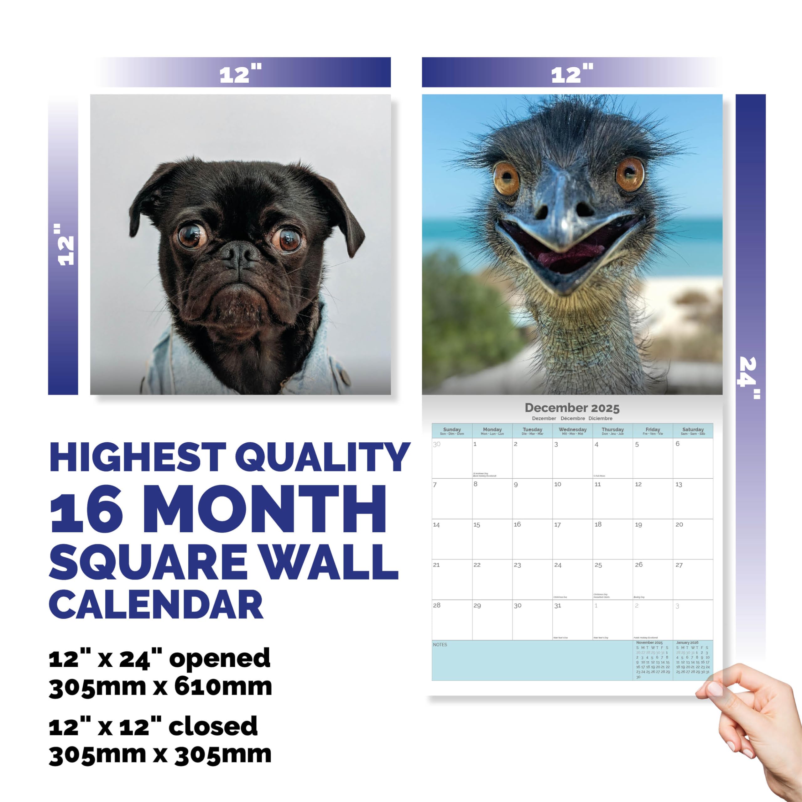 Dayplanner Publishing Animal Selfies Calendar 2026, Large Square Wall Calendar With Organisational Stickers, 16 Month - Image 3
