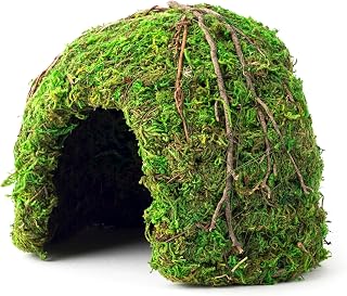 Galapagos (05366 Mossy Dome Hide, 15.2cm(6인치), 갈라파고스 그린