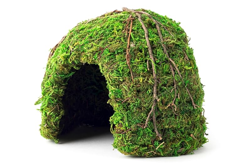 Esconderijo em Domo para Terrário Galapagos Mossy Dome Hide Verde Galápagos Green 15,24 cm