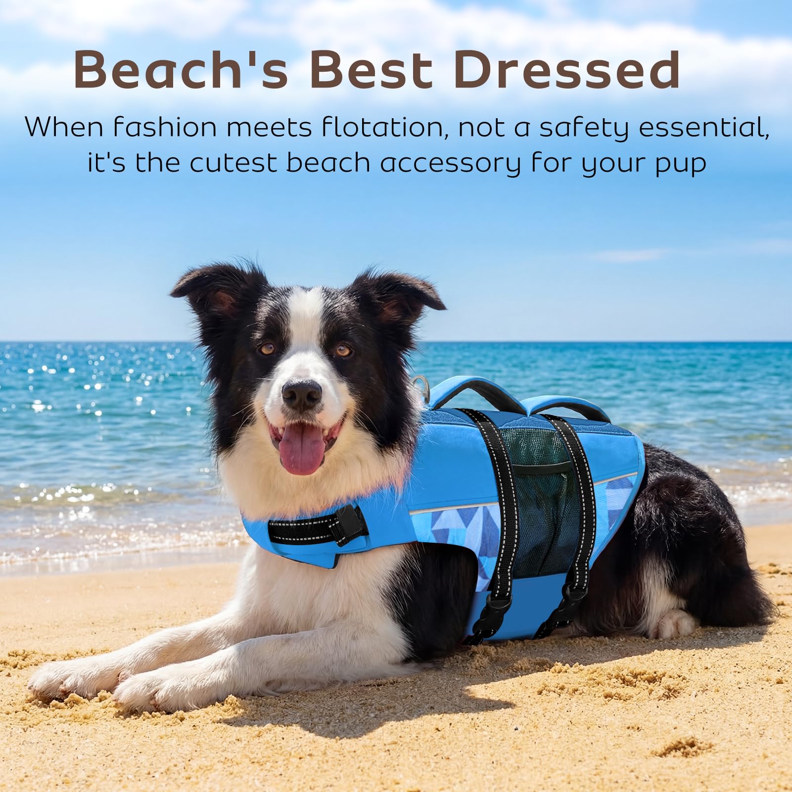 CITÉTOILE Giubbotti di Salvataggio per Cani, Regolabile Salvagente per Animali con Manico, Costume da Bagno di Sicurezza in Acqua per la Vela in Piscina Sulla Spiaggia, Blu, M