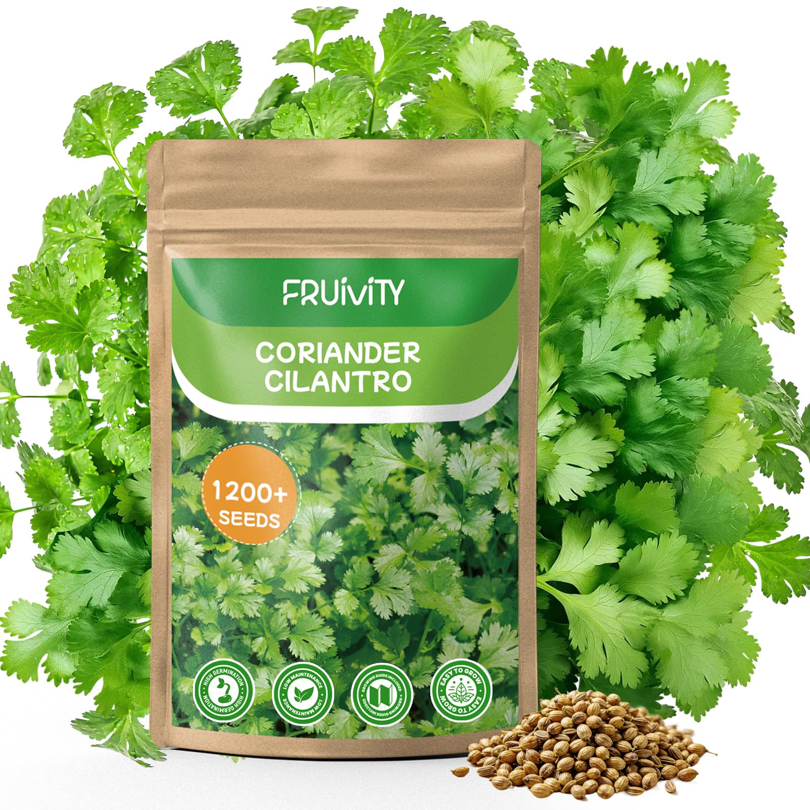 Fruivity Cilantro Seeds